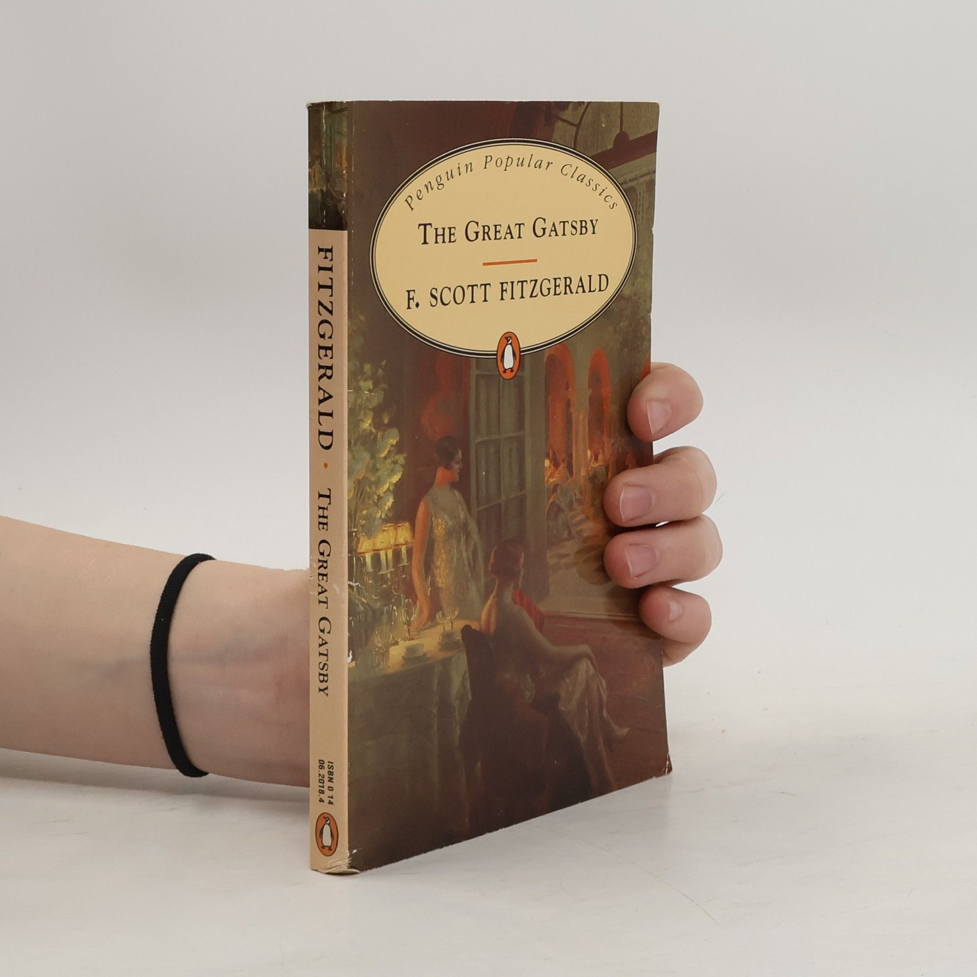 Francis Scott Fitzgerald The Great Gatsby