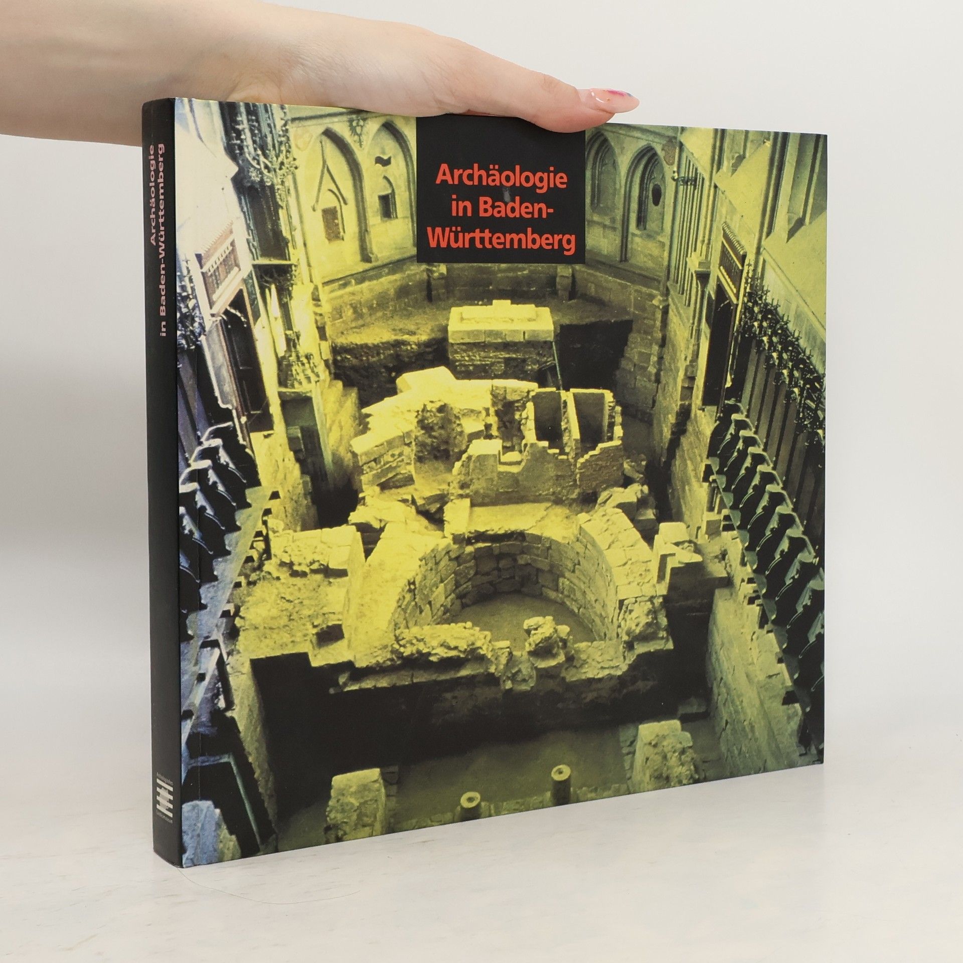 Dieter Planck Archäologie in Baden-Württemberg