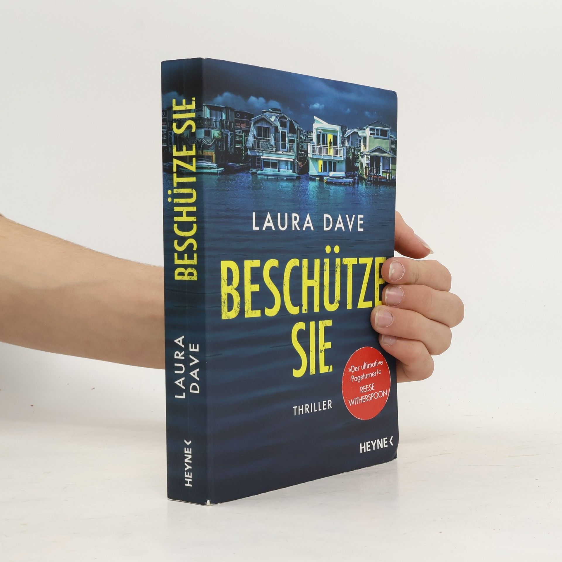 Laura Dave Beschütze sie