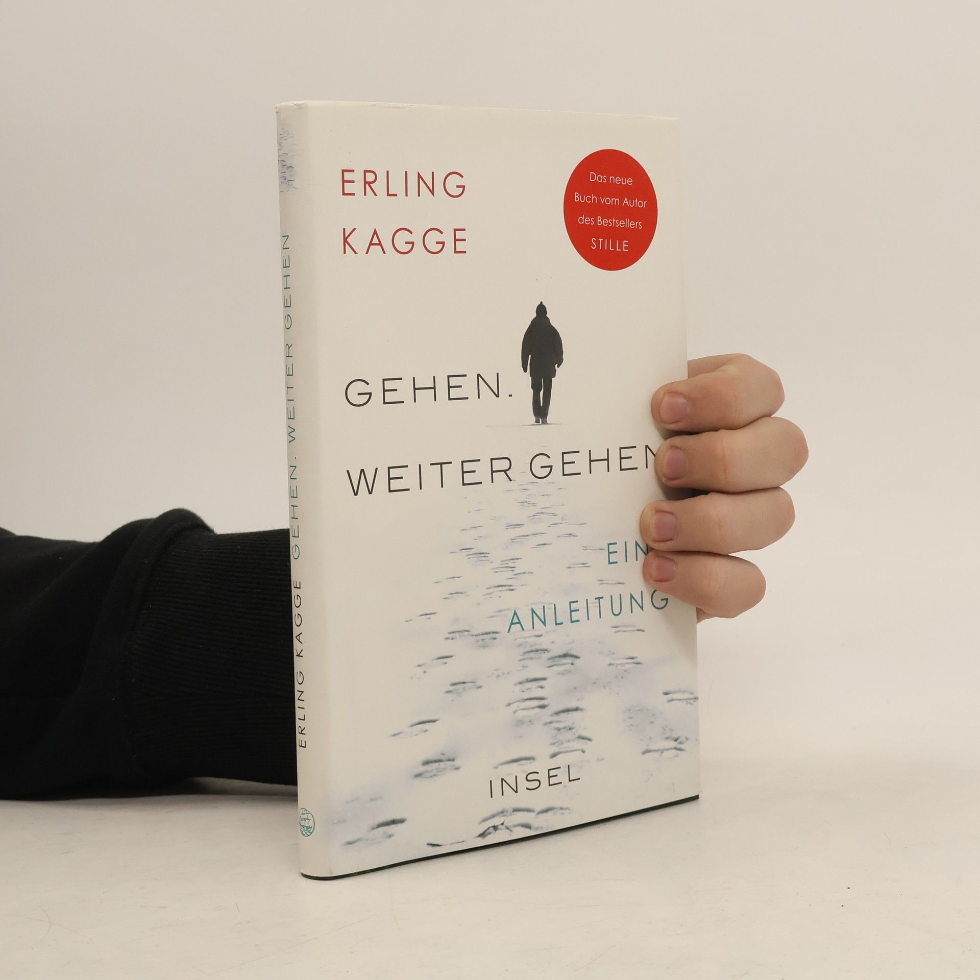 Erling Kagge Gehen - weiter gehen