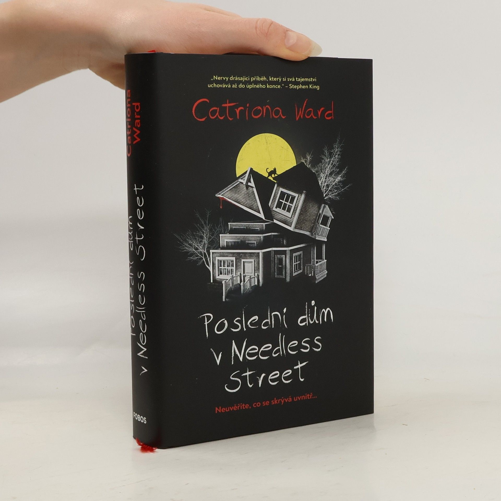 Poslední dům v Needless Street