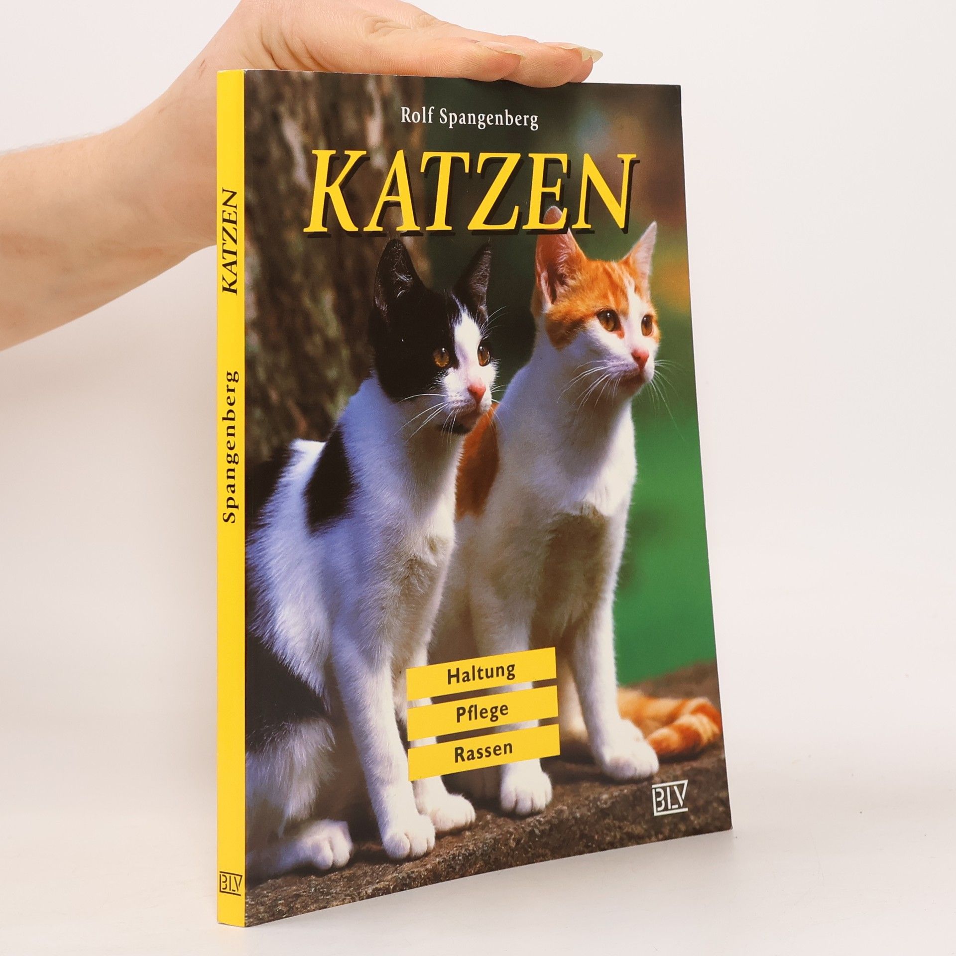 Rolf Spangenberg Katzen