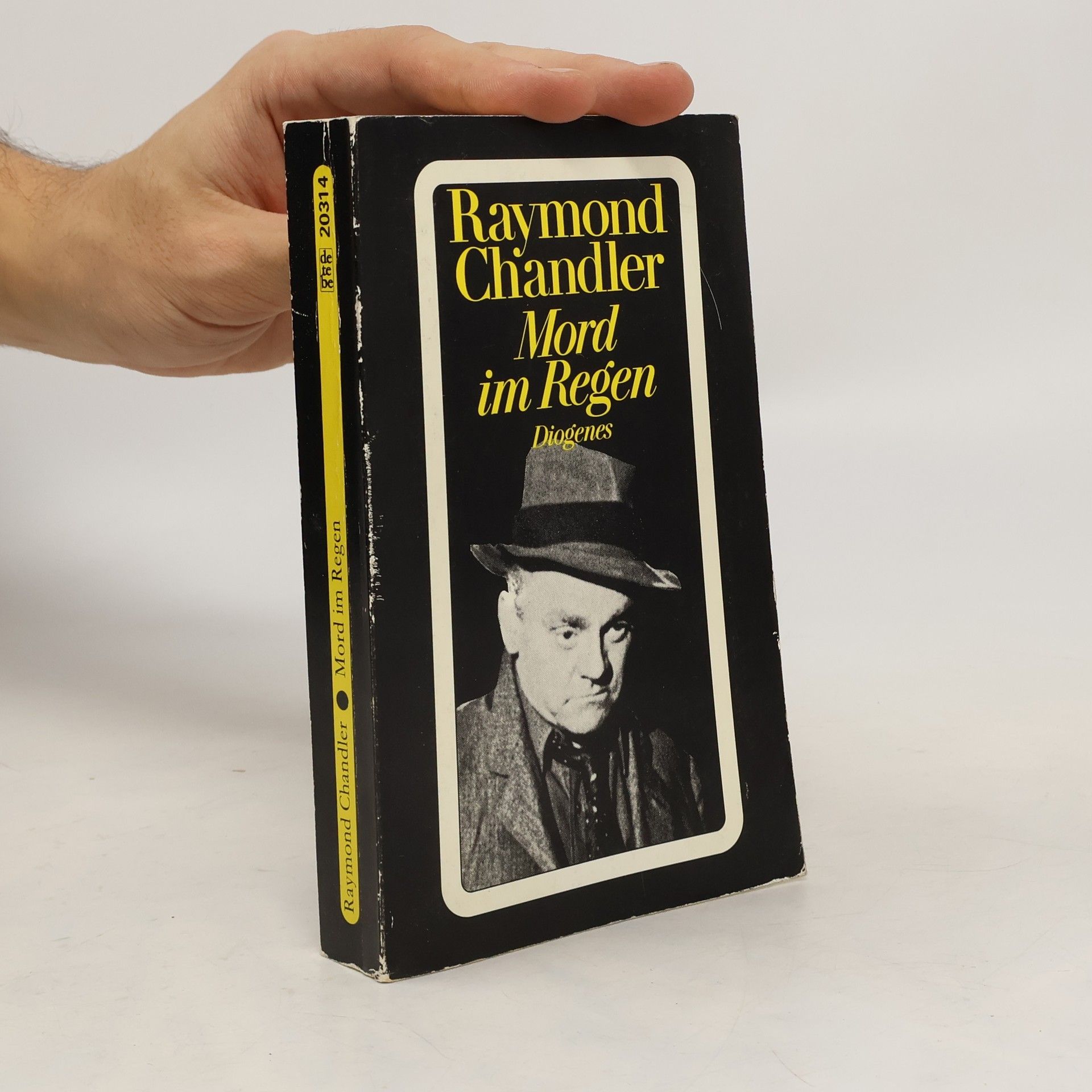 Raymond Chandler Mord im Regen