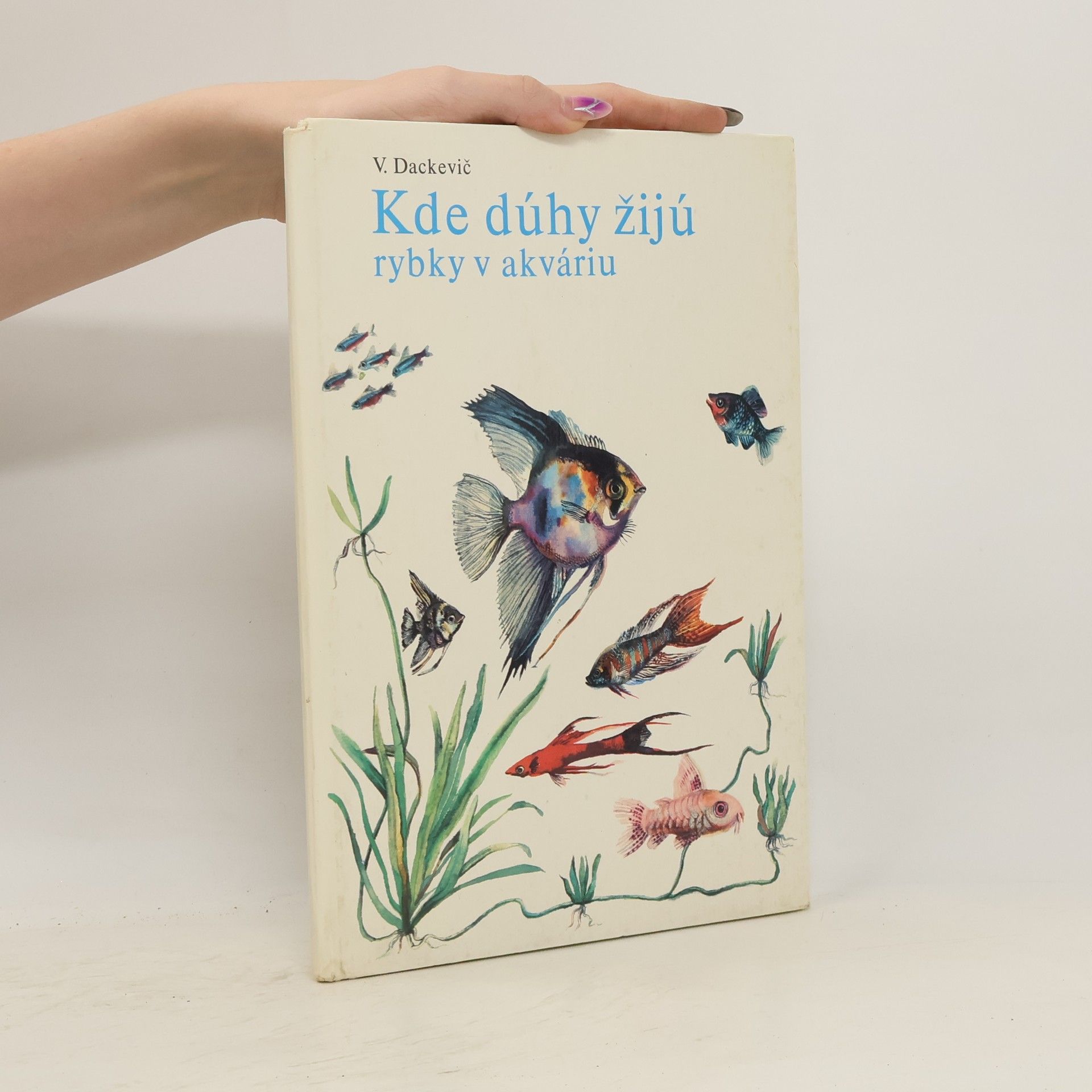 V. Dackevič Kde dúhy žijú. Rybky v akváriu