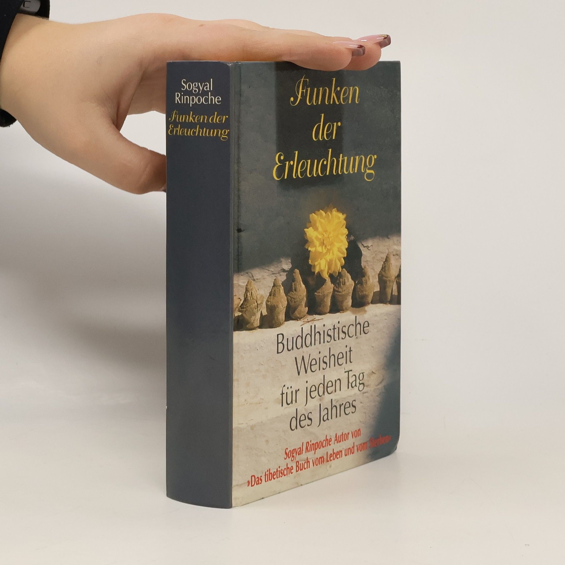 Funken der Erleuchtung