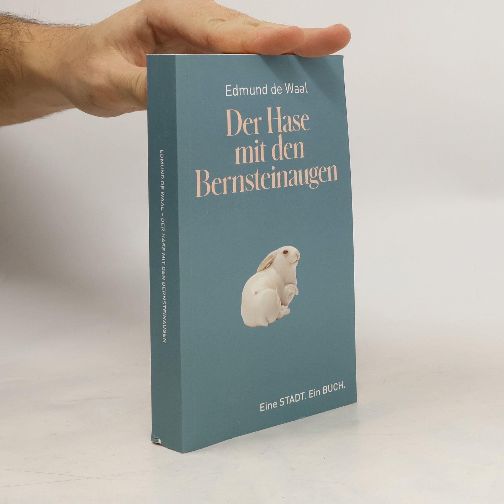 Edmund de Waal Der Hase mit den Bernsteinaugen