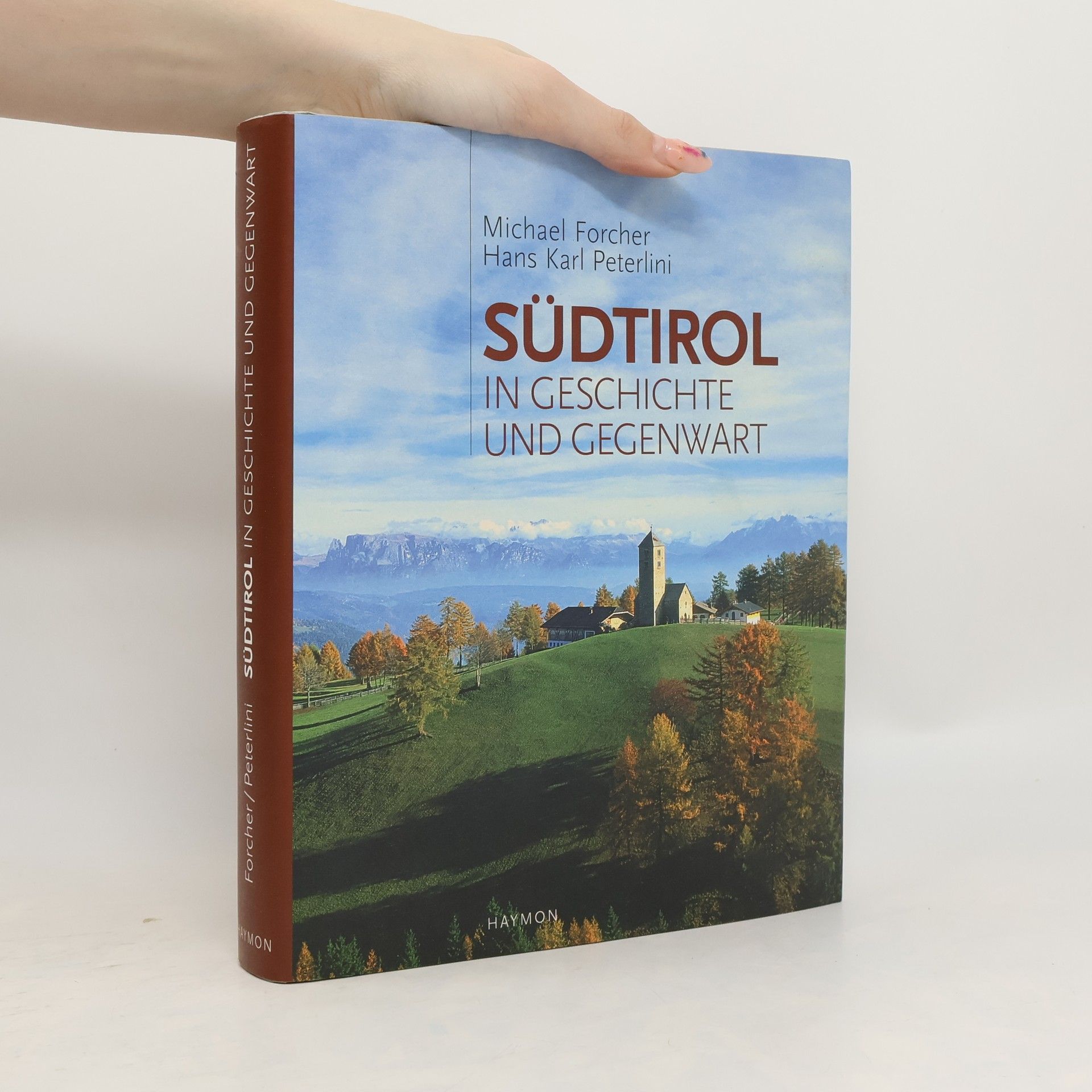 Michael Forcher Südtirol in Geschichte und Gegenwart