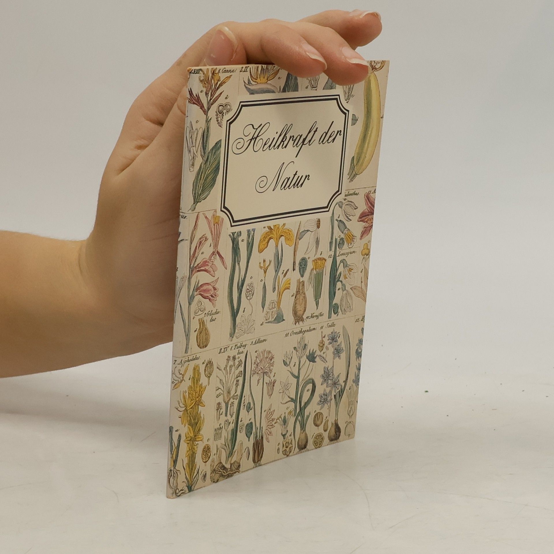 AA.VV. Heilkraft der Natur