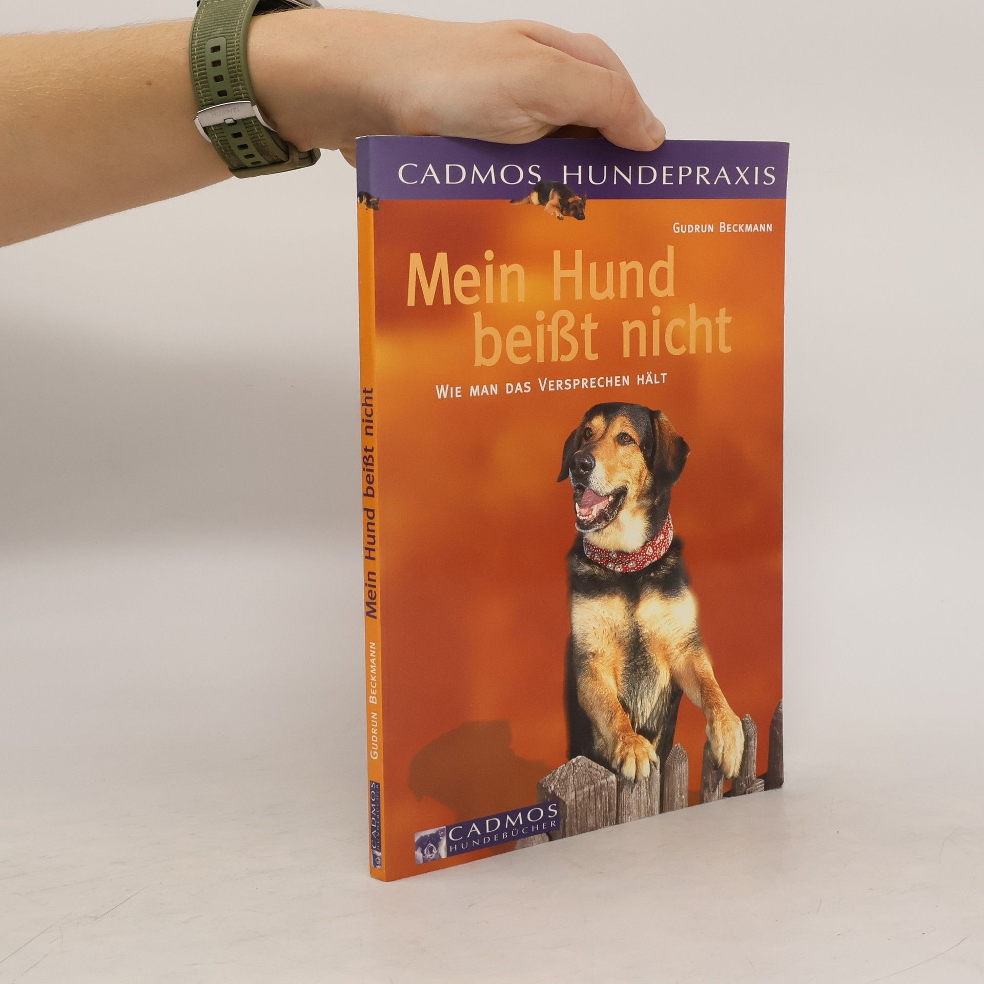Mein Hund beißt nicht