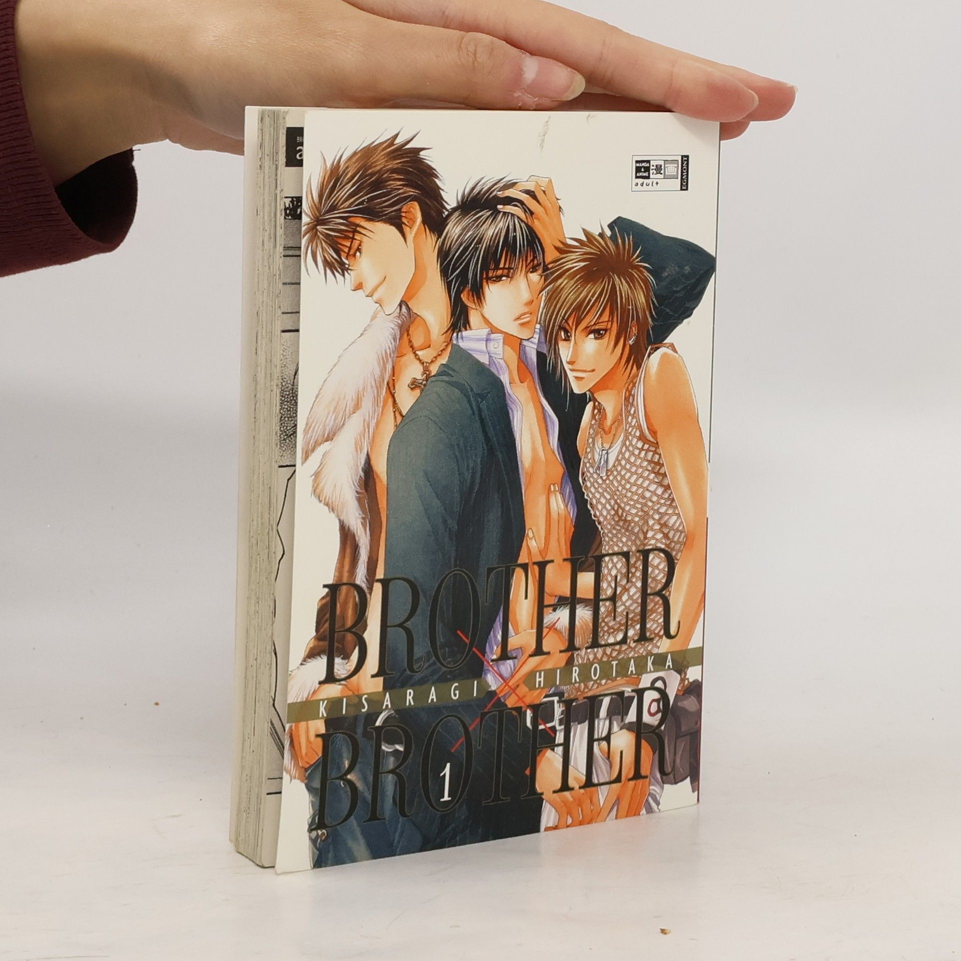 Hirotaka Kisaragi Brother x brother 1