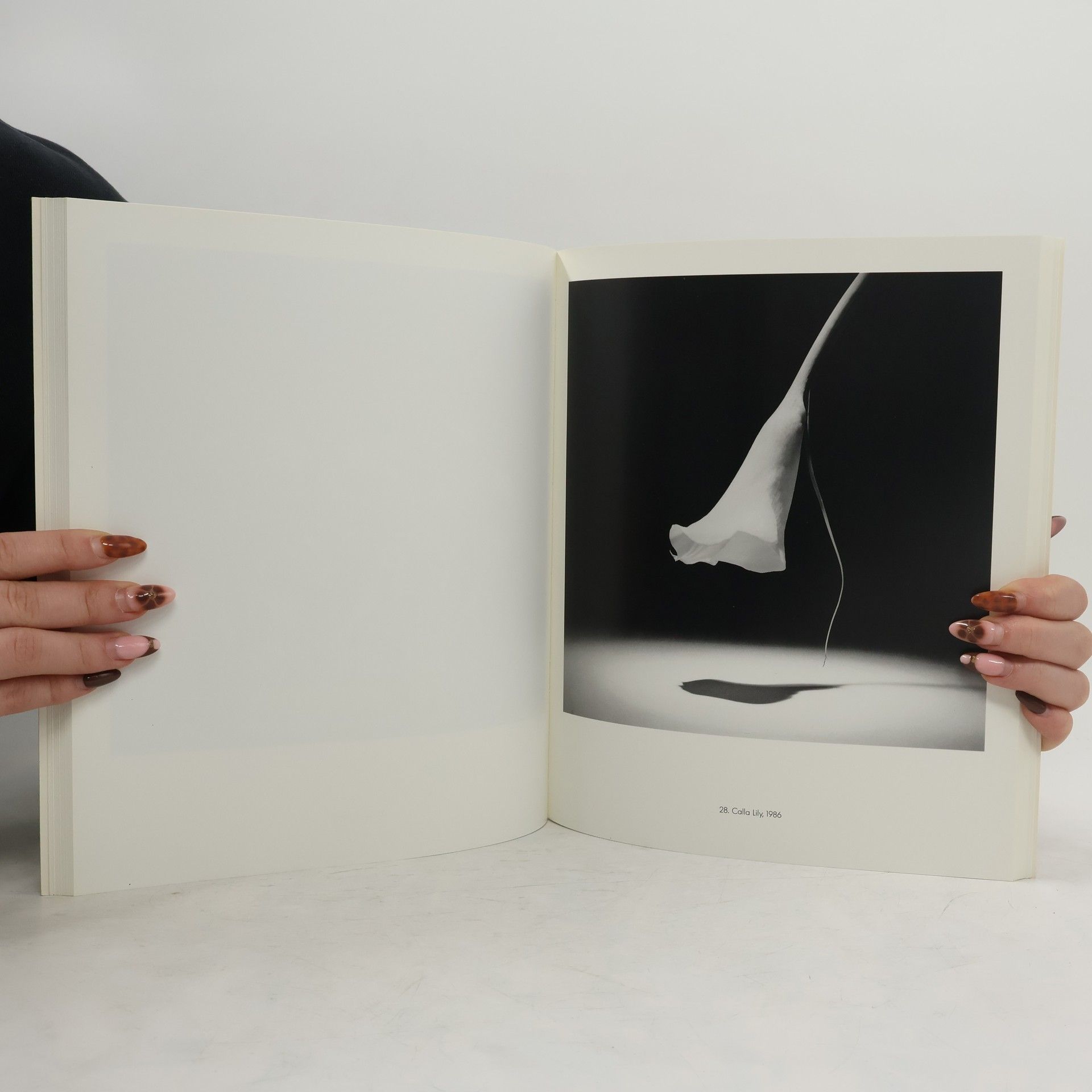 Robert Mapplethorpe Ten by ten