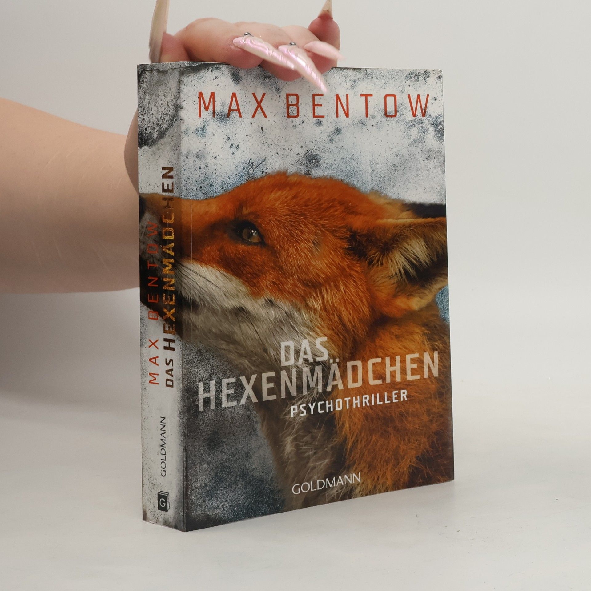 Max Bentow Das Hexenmädchen