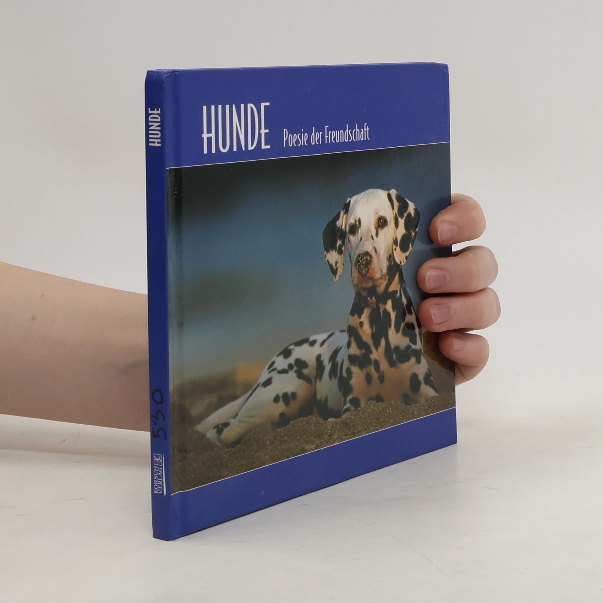 Autorenkollektiv Hunde: Poesie der Freundschaft.