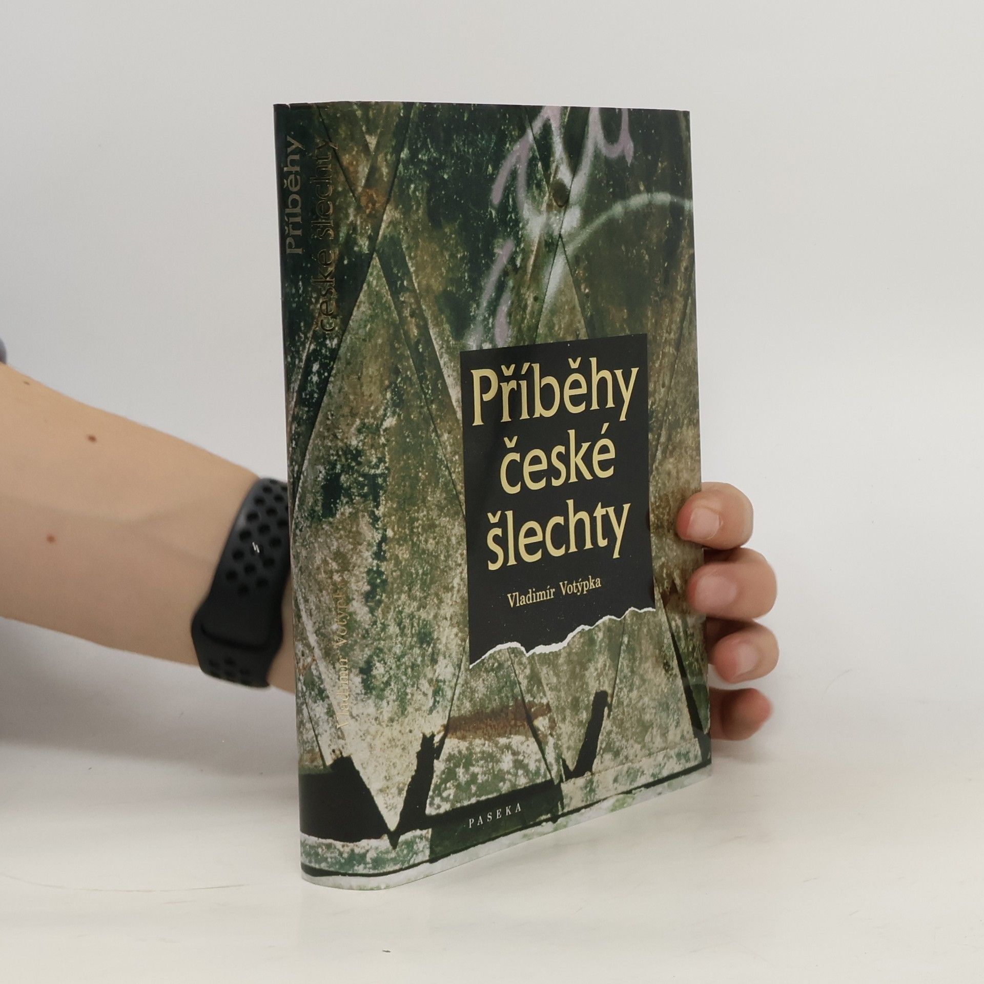 Vladimír Votýpka Příběhy české šlechty