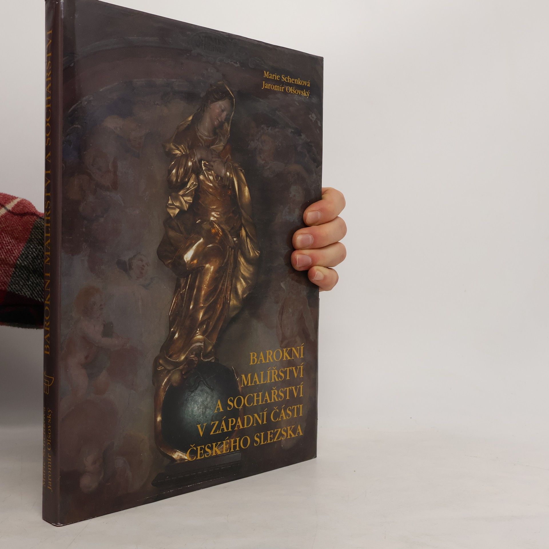 Barokní malířství a sochařství v západní části českého Slezska