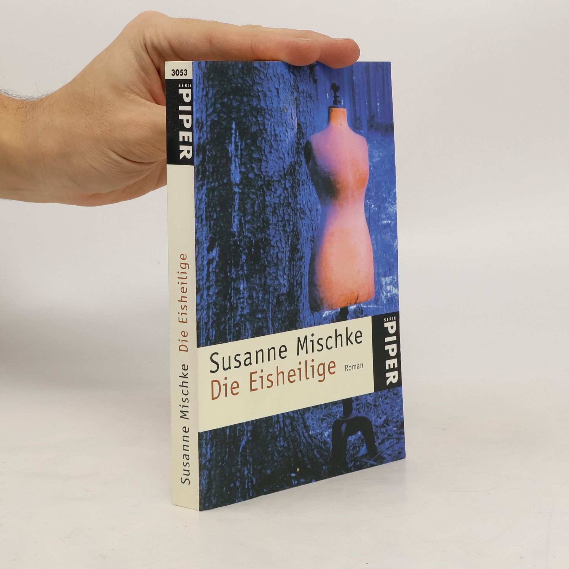 Susanne Mischke Die Eisheilige