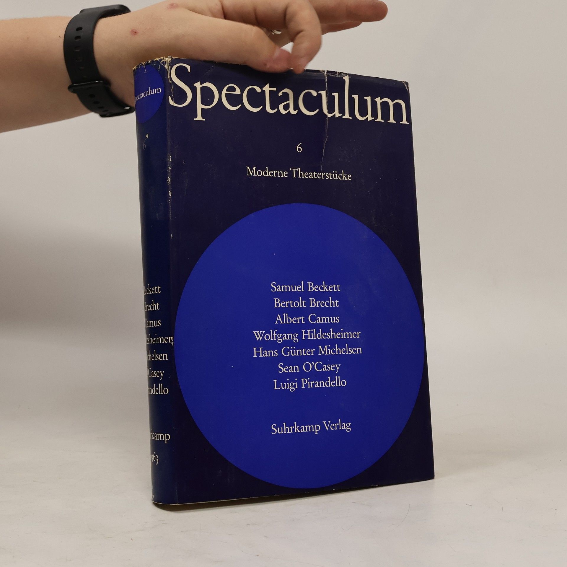 Kolektív autorov Spectaculum 6 Moderne Theaterstücke