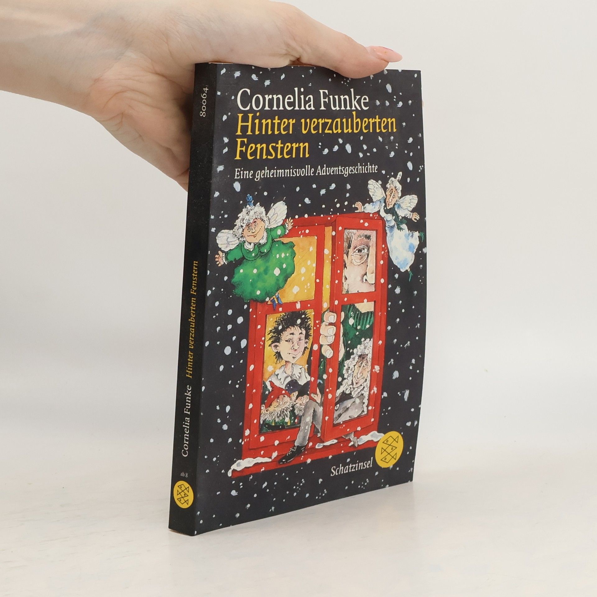 Cornelia Funke Hinter verzauberten Fenstern