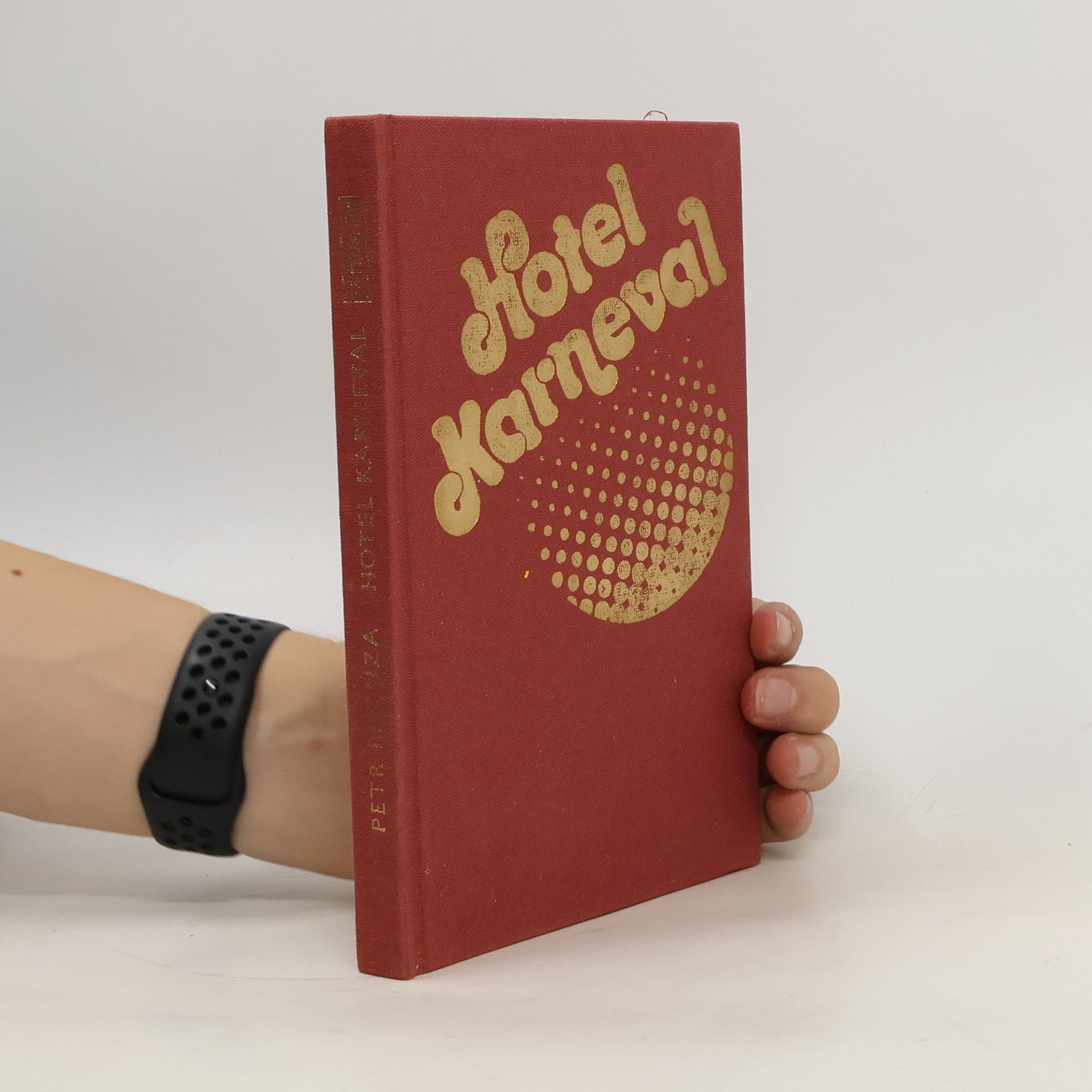 Petr Prouza Hotel Karneval