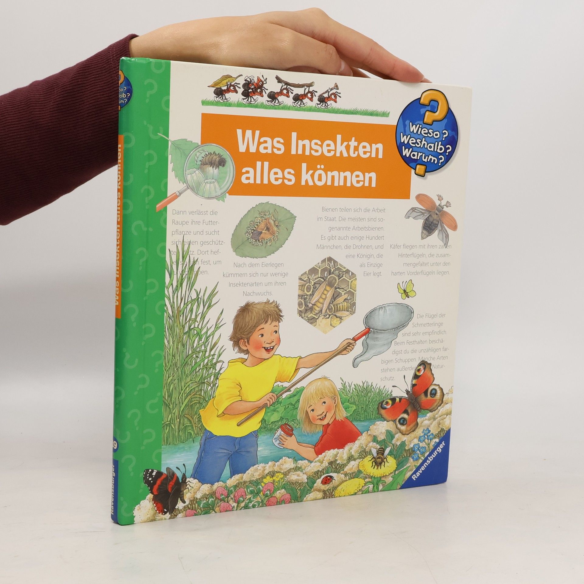 Angela Weinhold Was Insekten alles kōnnen