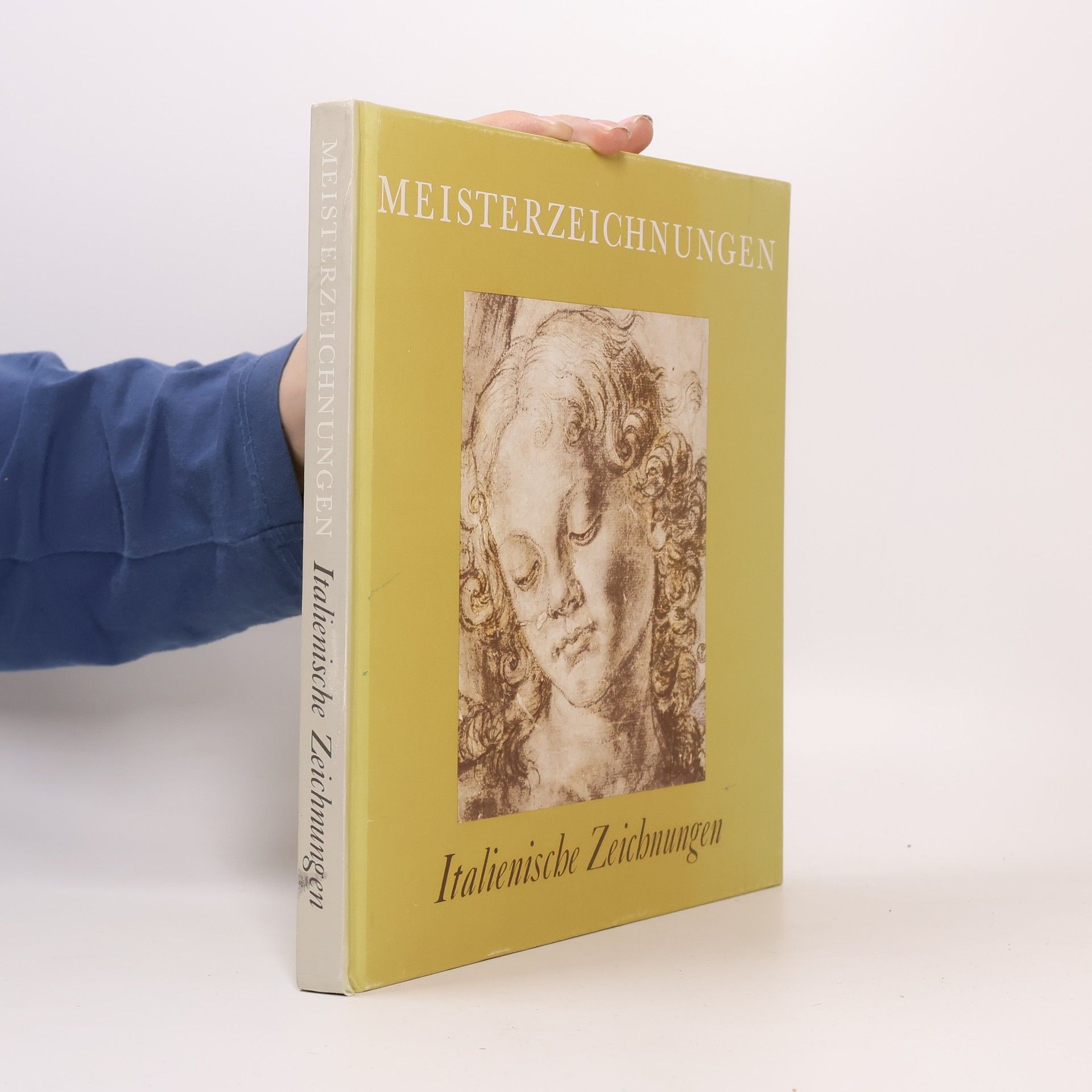 Autorenkollektiv Meisterzeichnungen. Italienische Zeichnungen