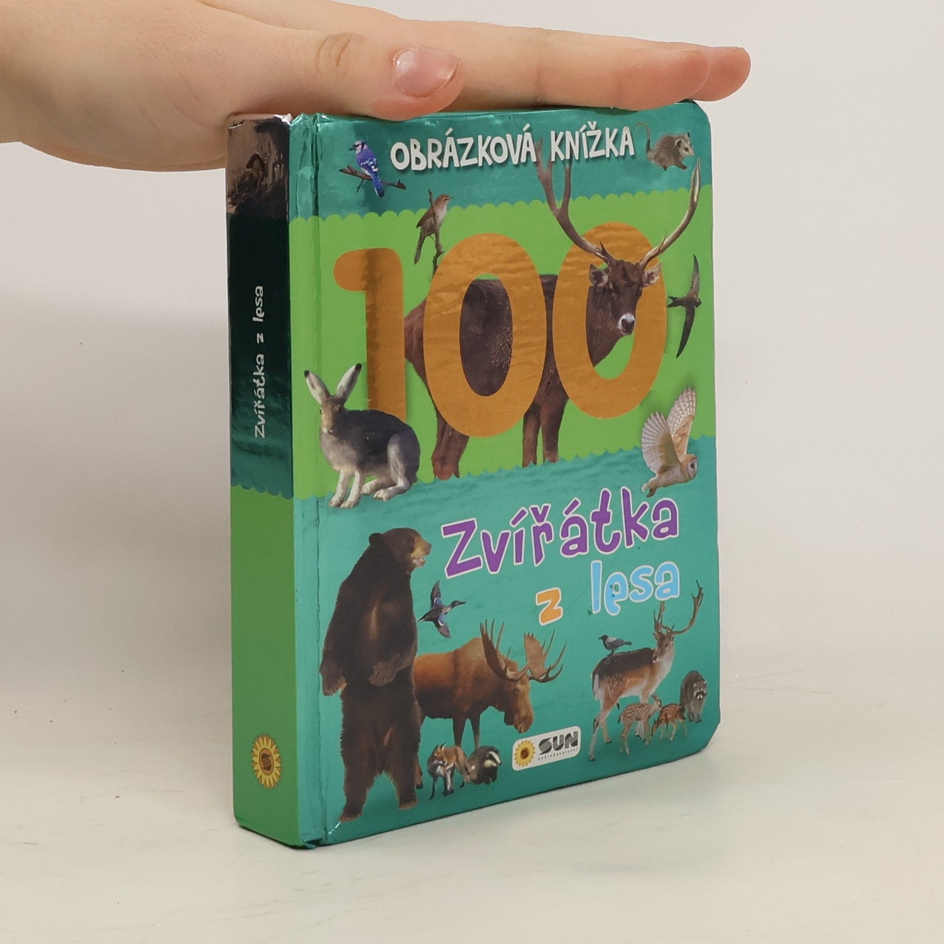 Autorenkollektiv Zvířátka z lesa : obrázková knížka 100