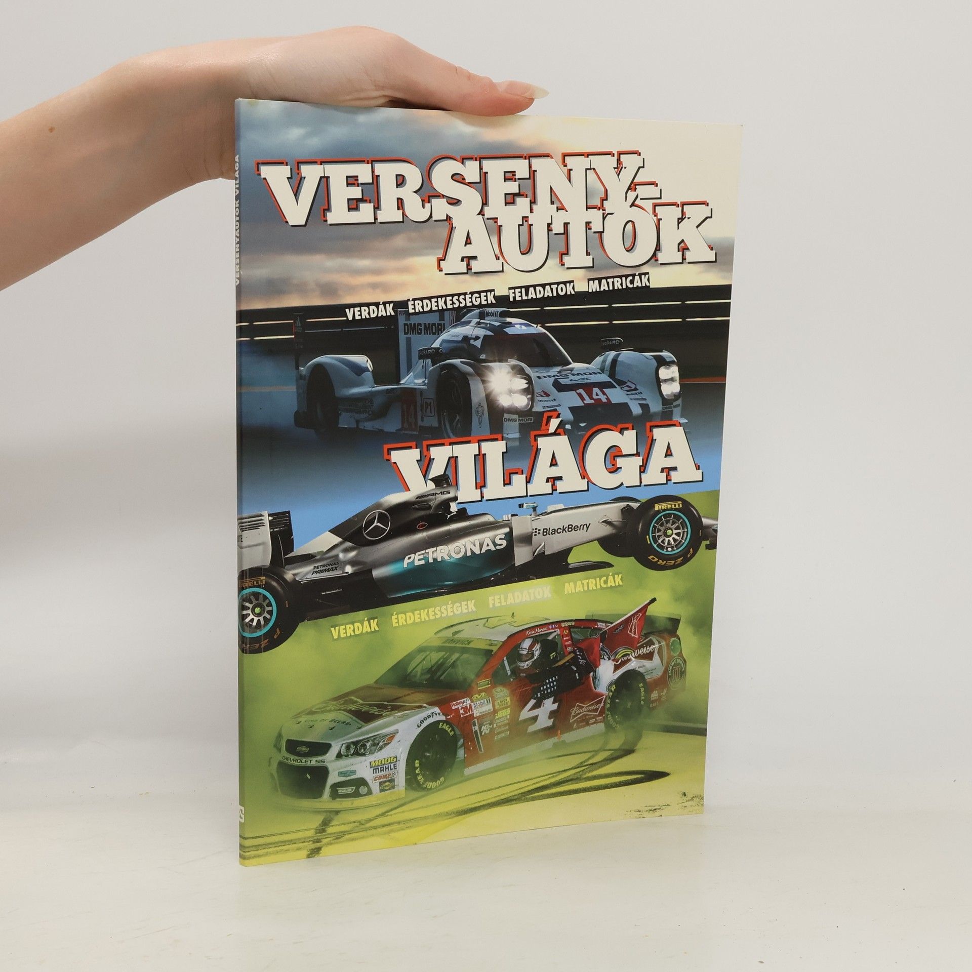 Autorenkollektiv Versenyautók világa