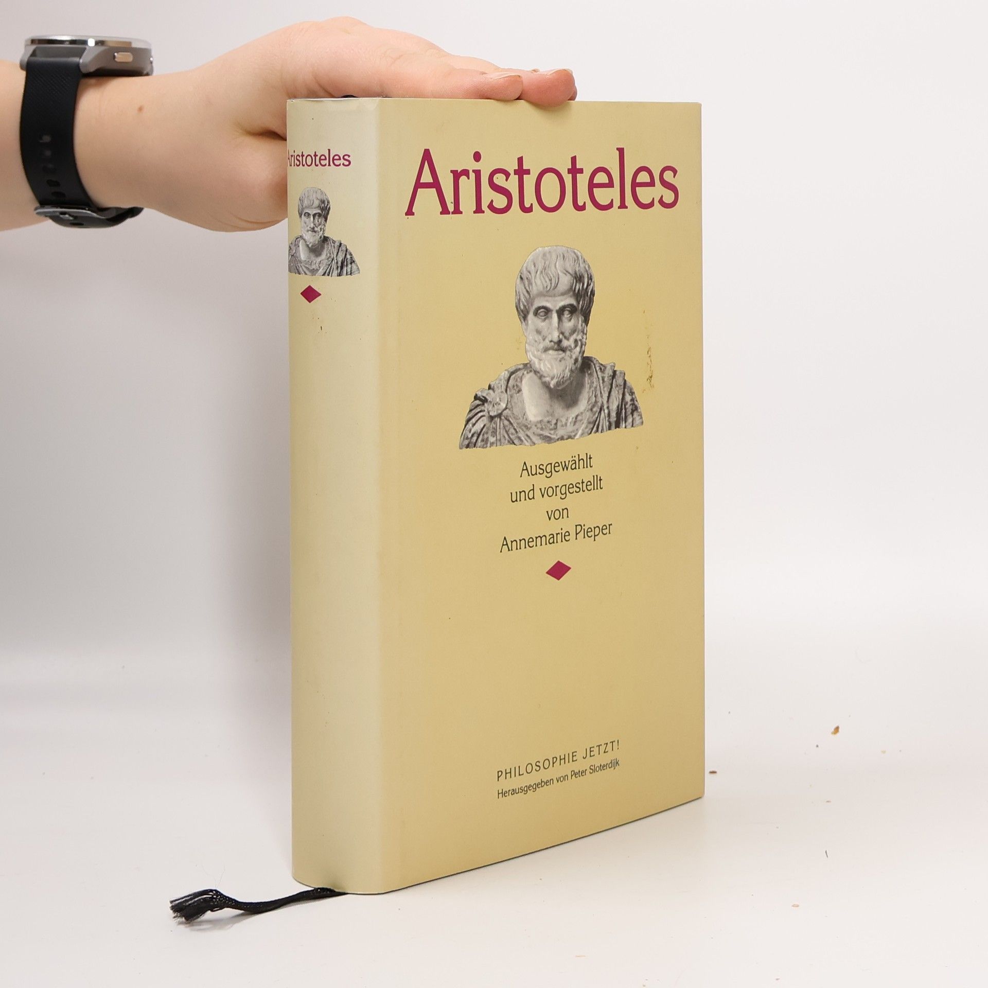 Annemarie Piper Aristoteles