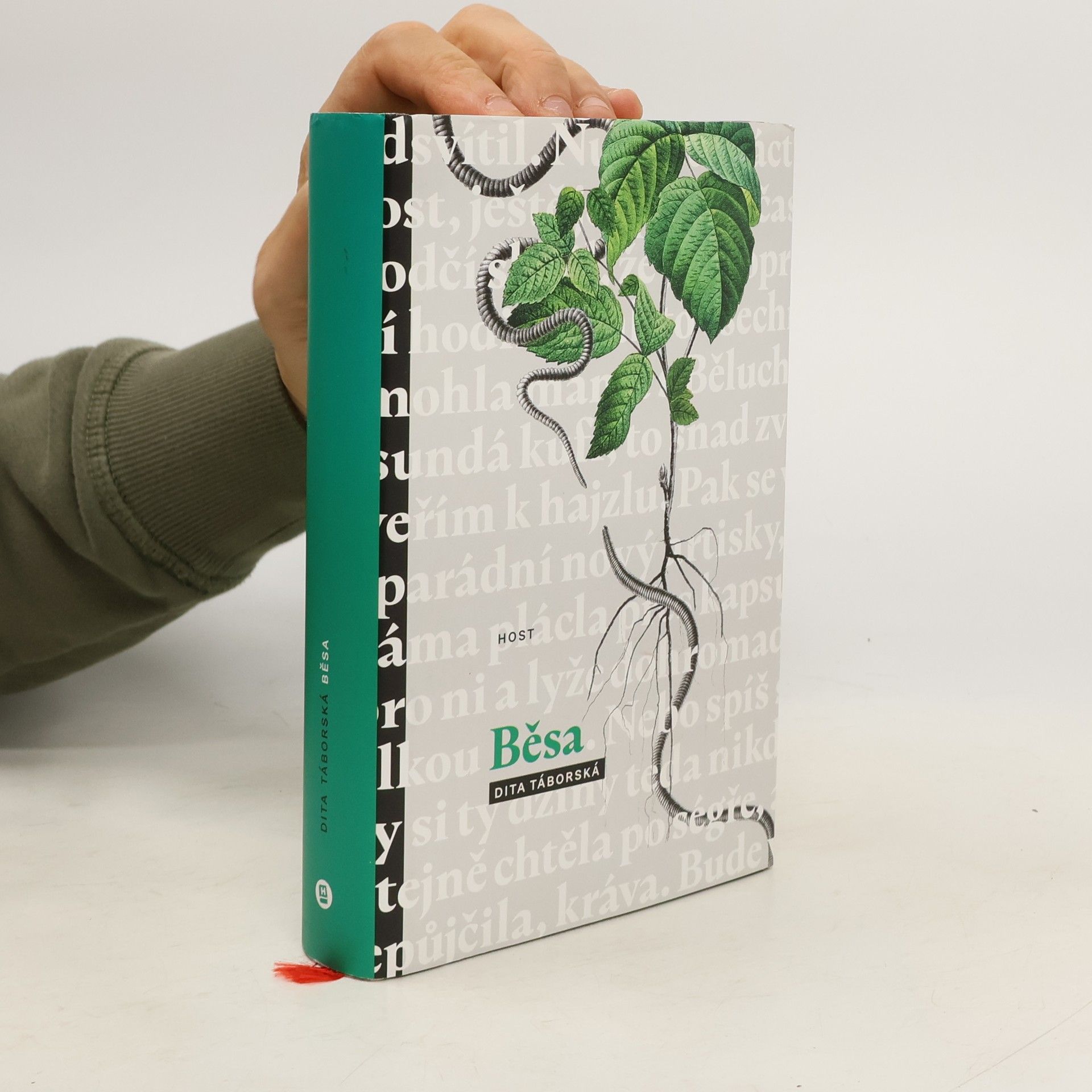 Dita Táborská Běsa