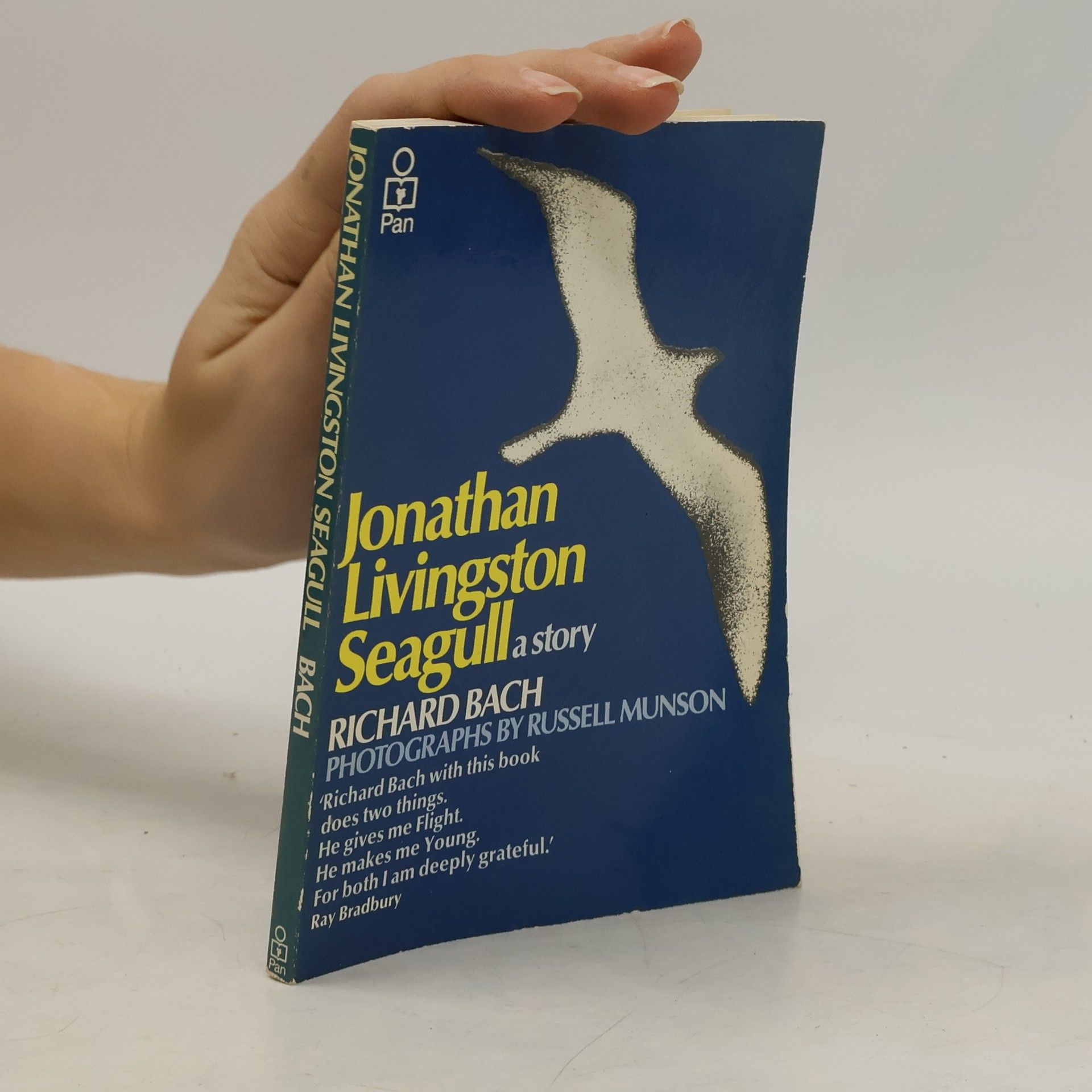 Jonathan Livingstone Seagull