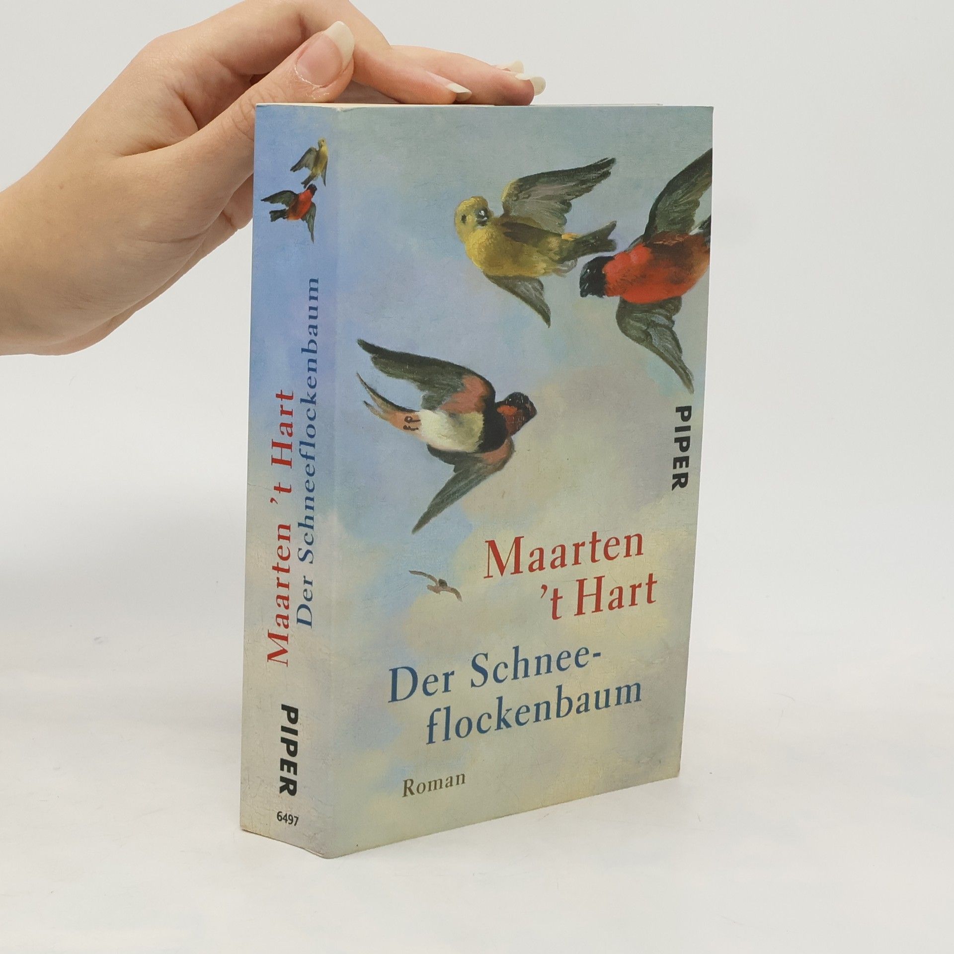 Maarten t. Hart Der Schneeflockenbaum