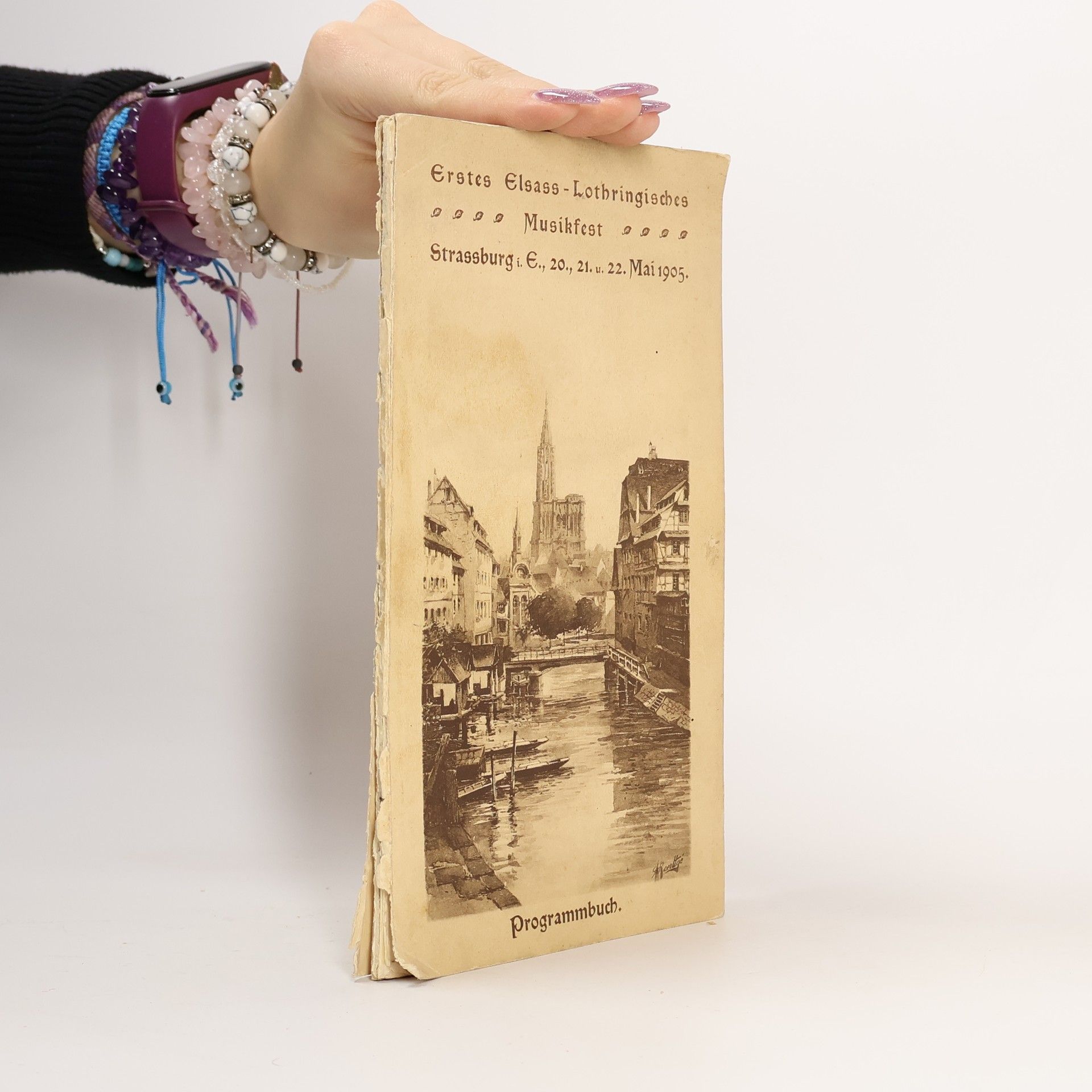 Collectif d'auteurs Erstes Elsass-Lothringisches Musikfest. Programmbuch