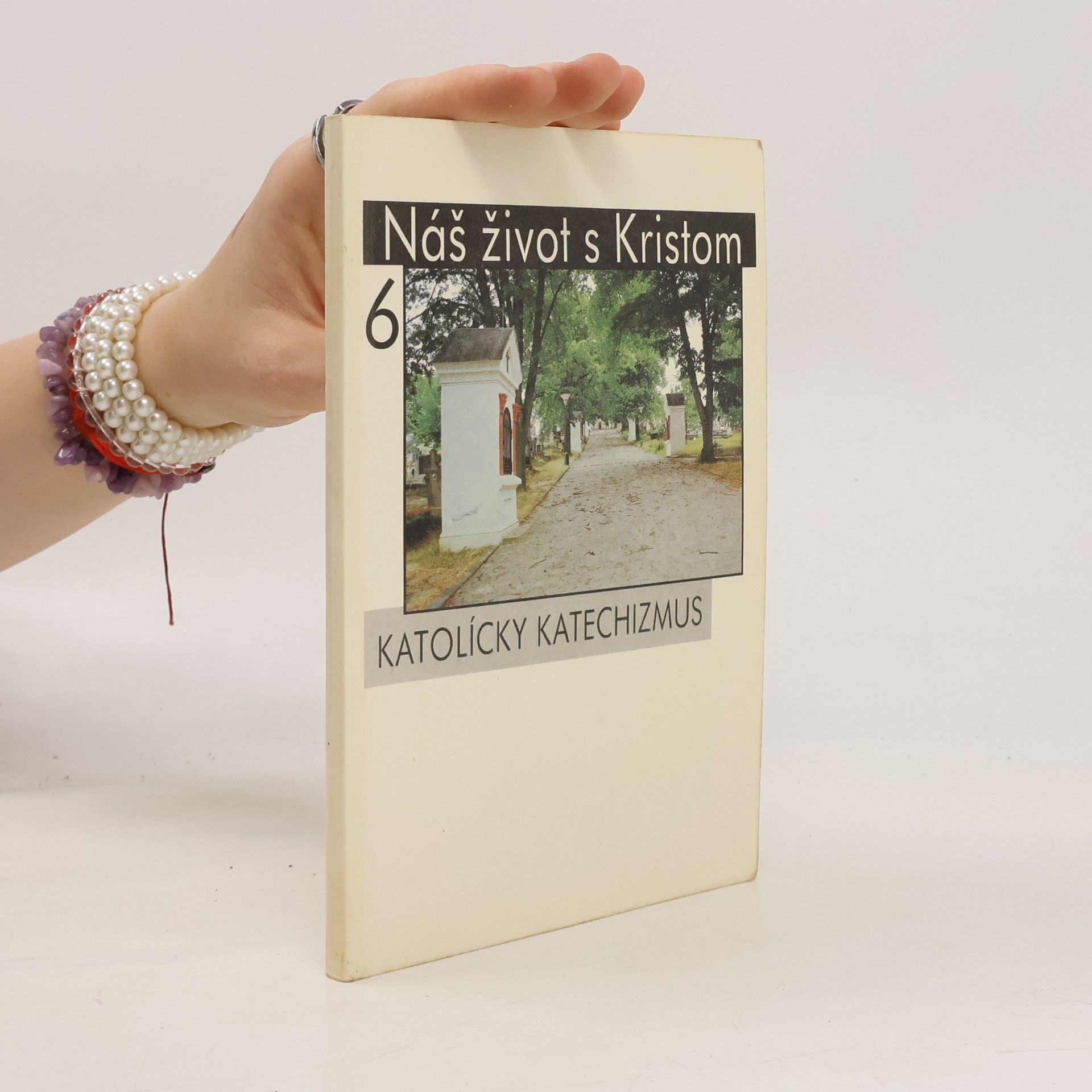 Pavol Janáč Náš život s Kristom 6 : Katolícky katechizmus