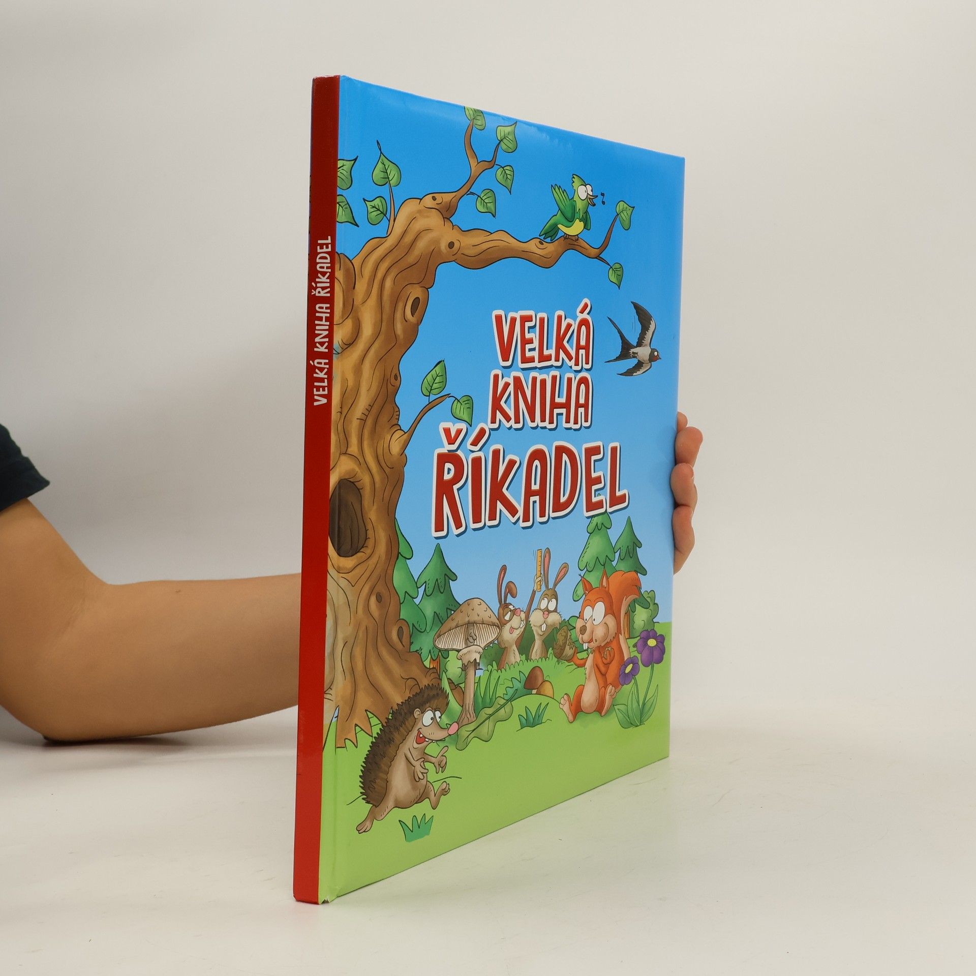 AA.VV. Velká kniha říkadel