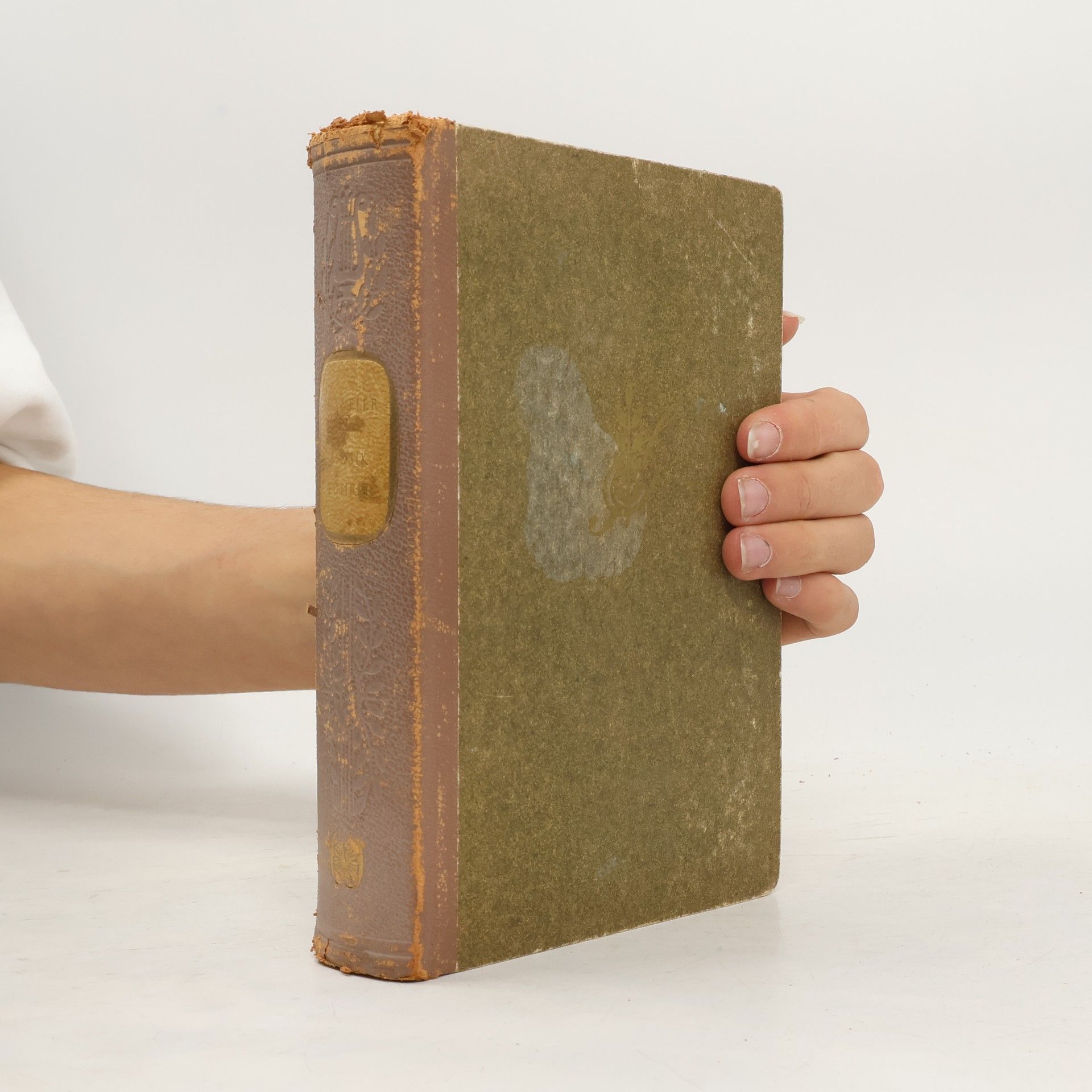 Casper Höweler Der Musikführer