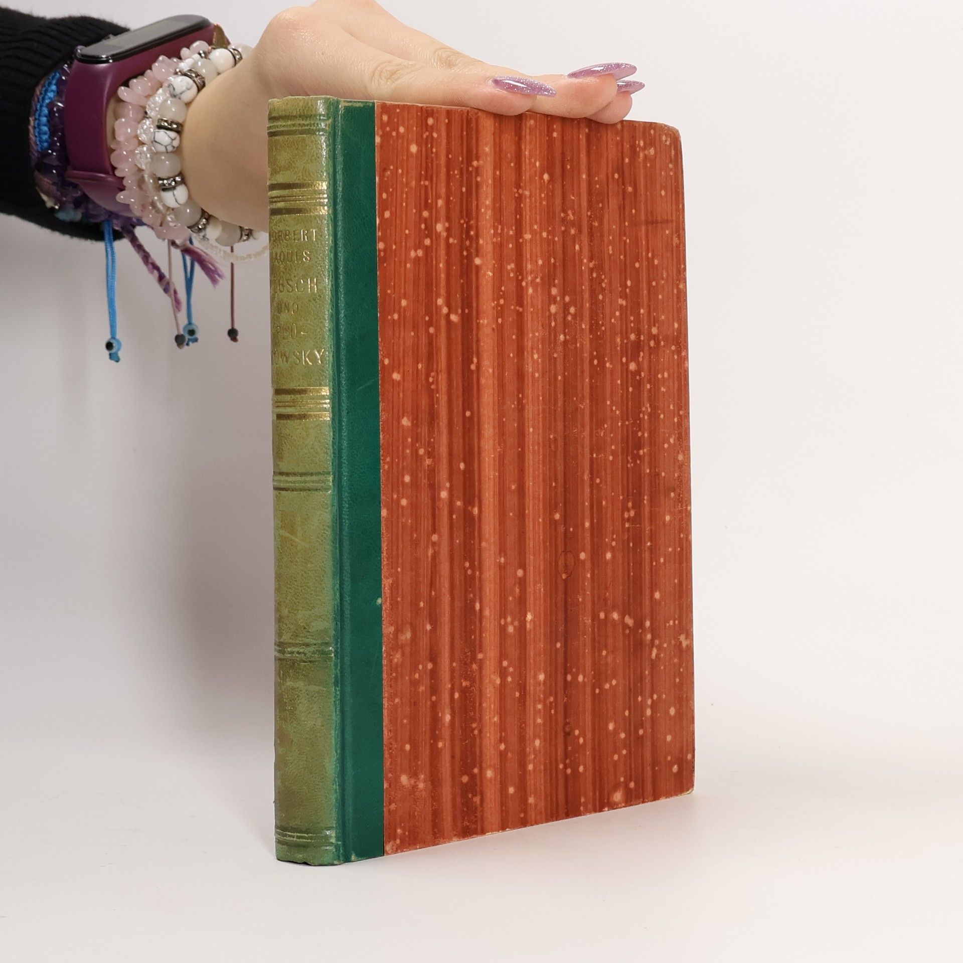 Norbert Jacques Plüsch und Plümowski