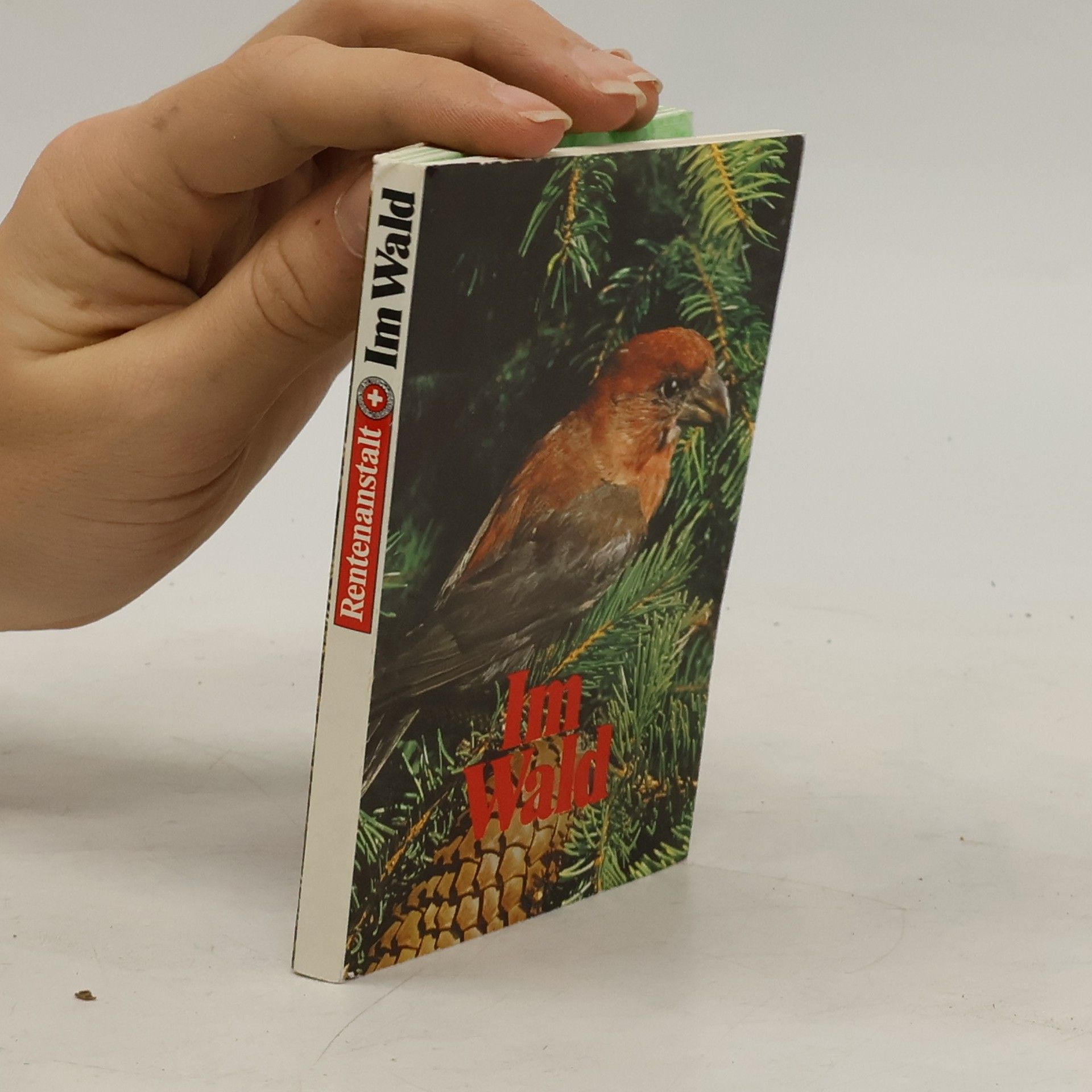 Collectif d'auteurs Im Wald