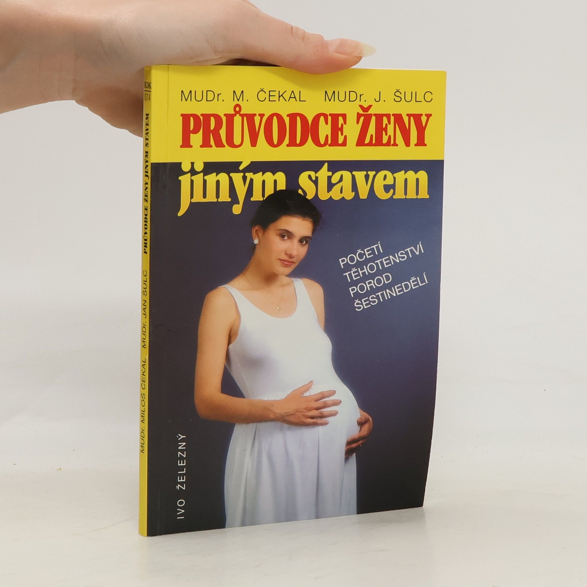 Miloš Čekal Průvodce ženy jiným stavem