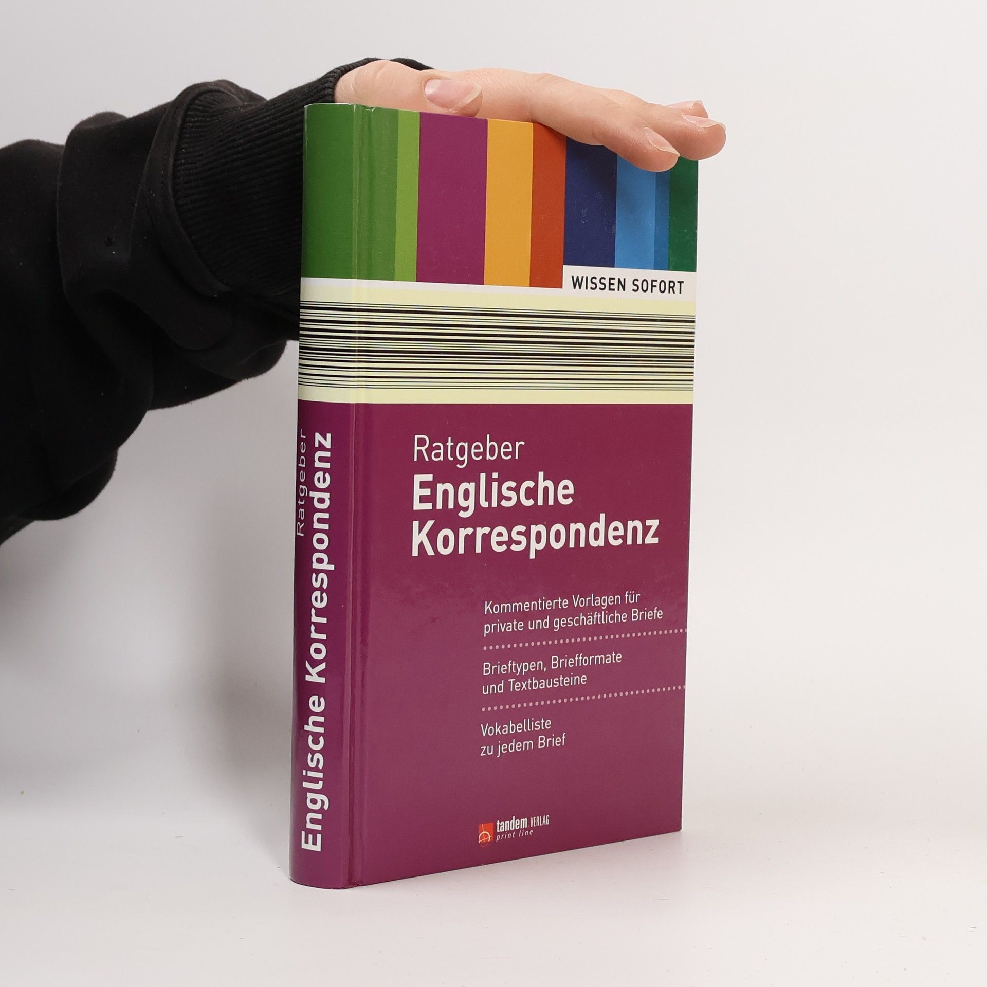 Kolektiv autorů Ratgeber Englische Korrespondenz