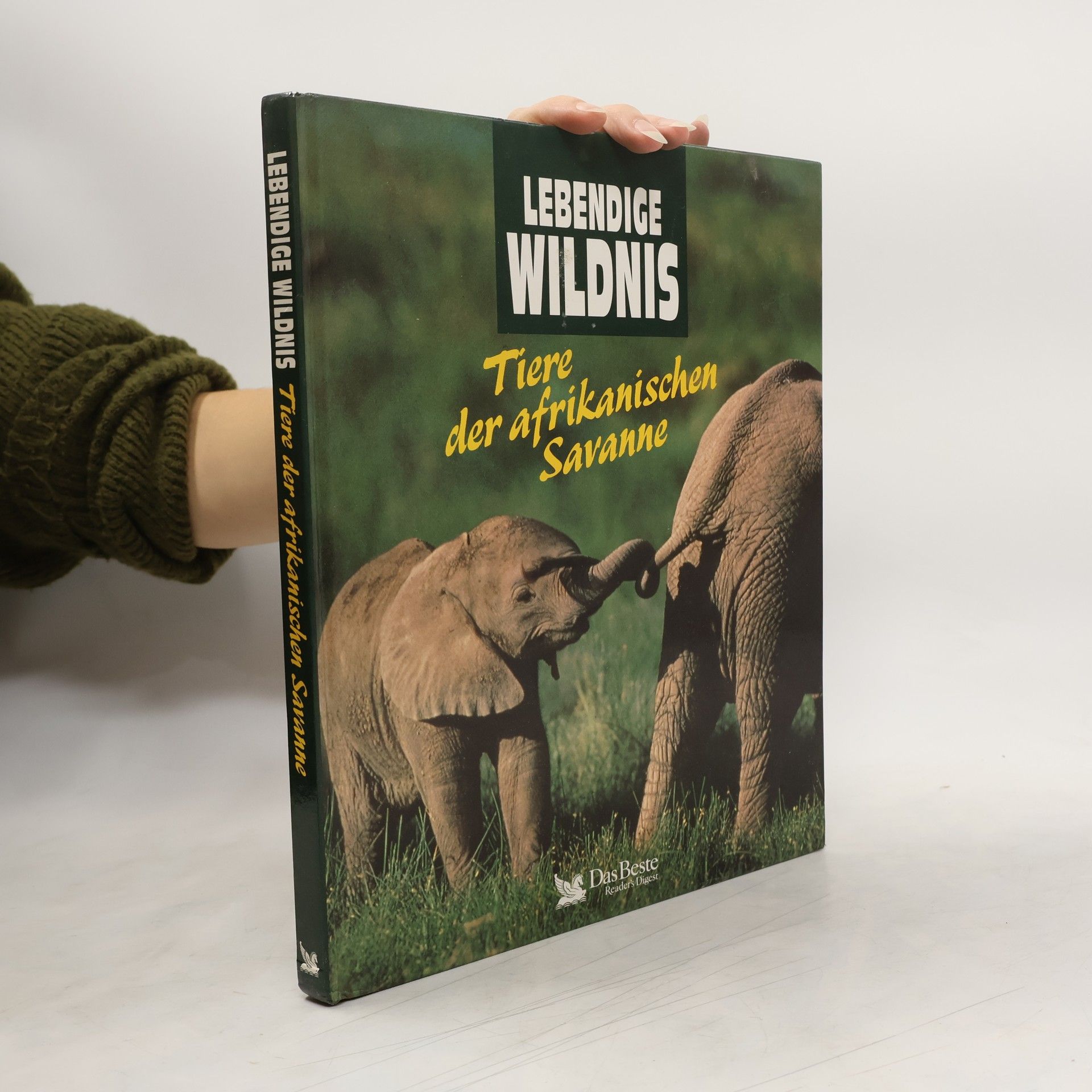 Lebendige Wildnis - Tiere der afrikanischen Savanne