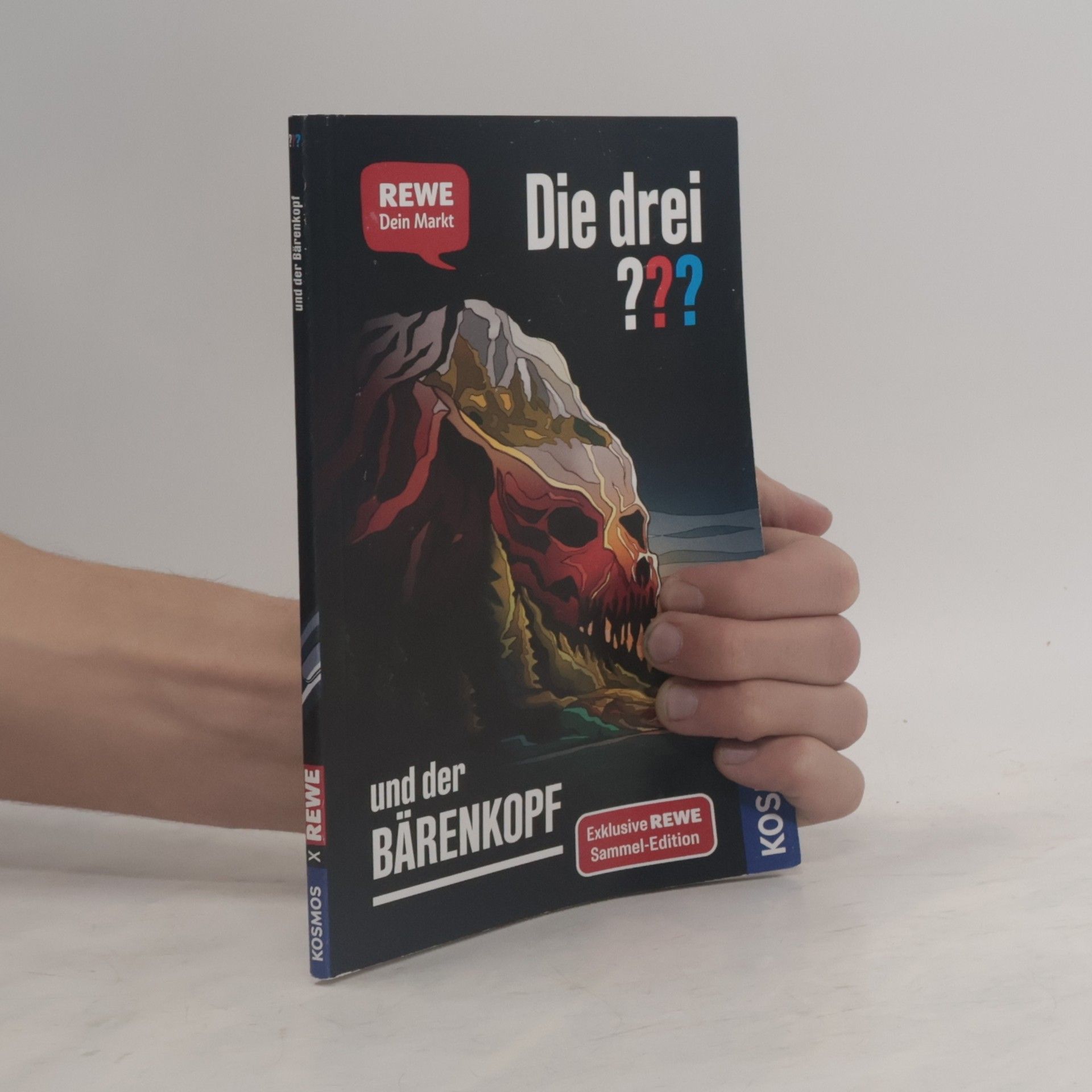 Andreas Ruch Die drei ??? und der Bärenkopf