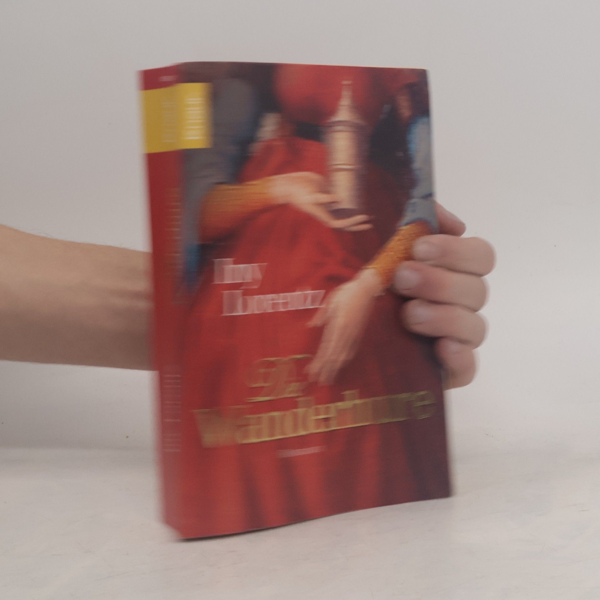 Iny Lorentz Die Wanderhure