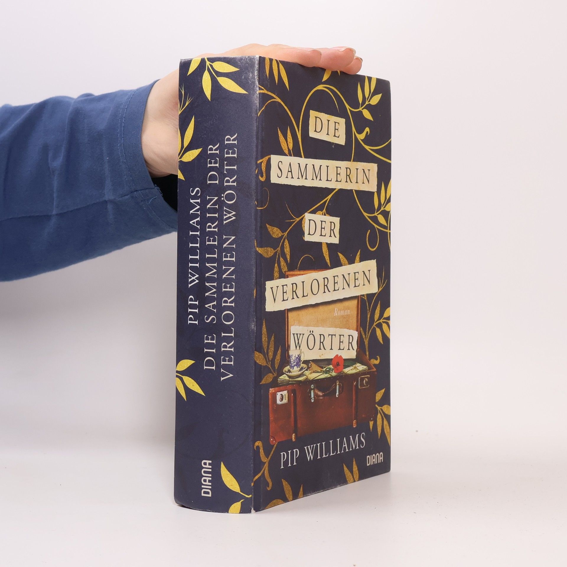 Pip Williams Die Sammlerin Der Verlorenen Wörter