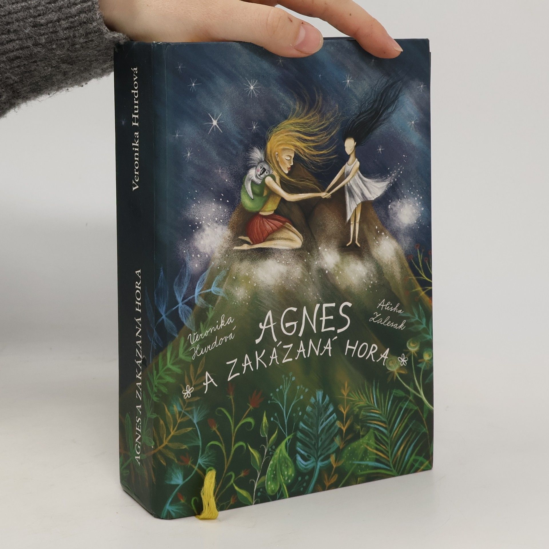 Agnes a Zakázaná hora