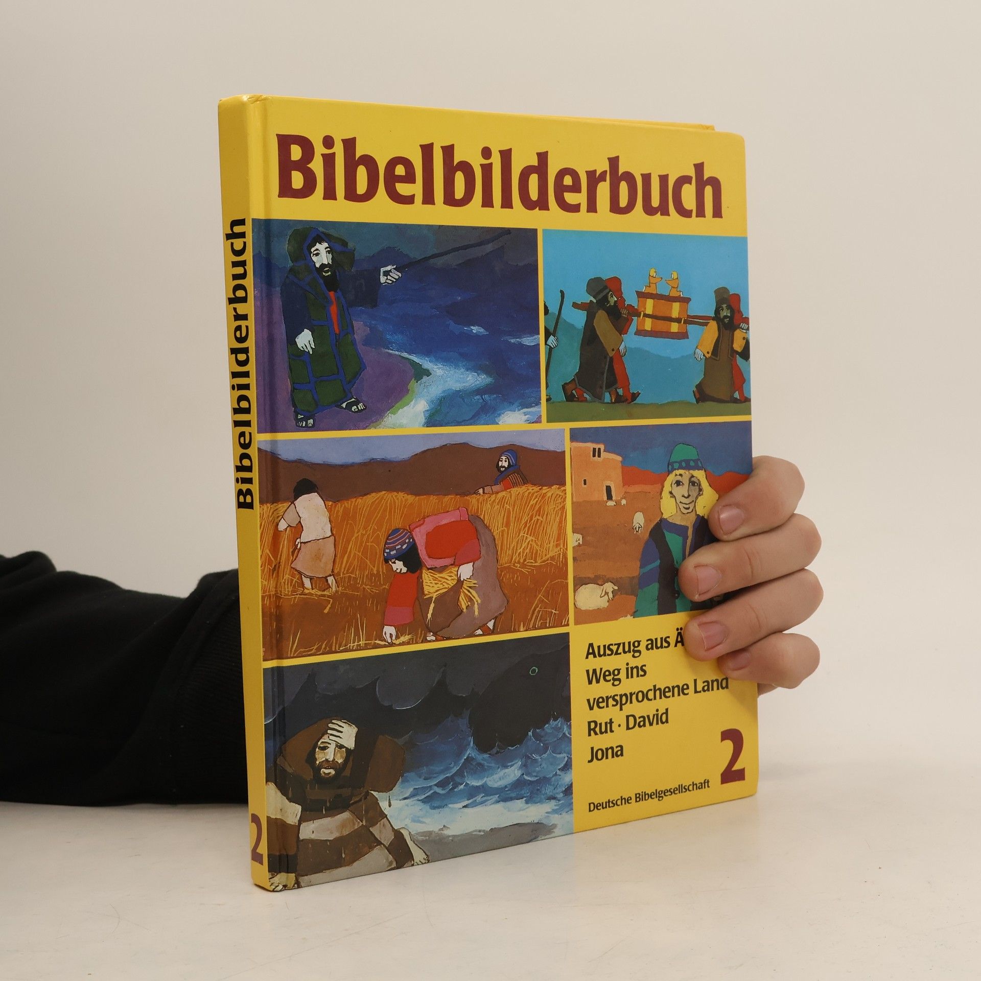 Autores varios Bibelbilderbuch