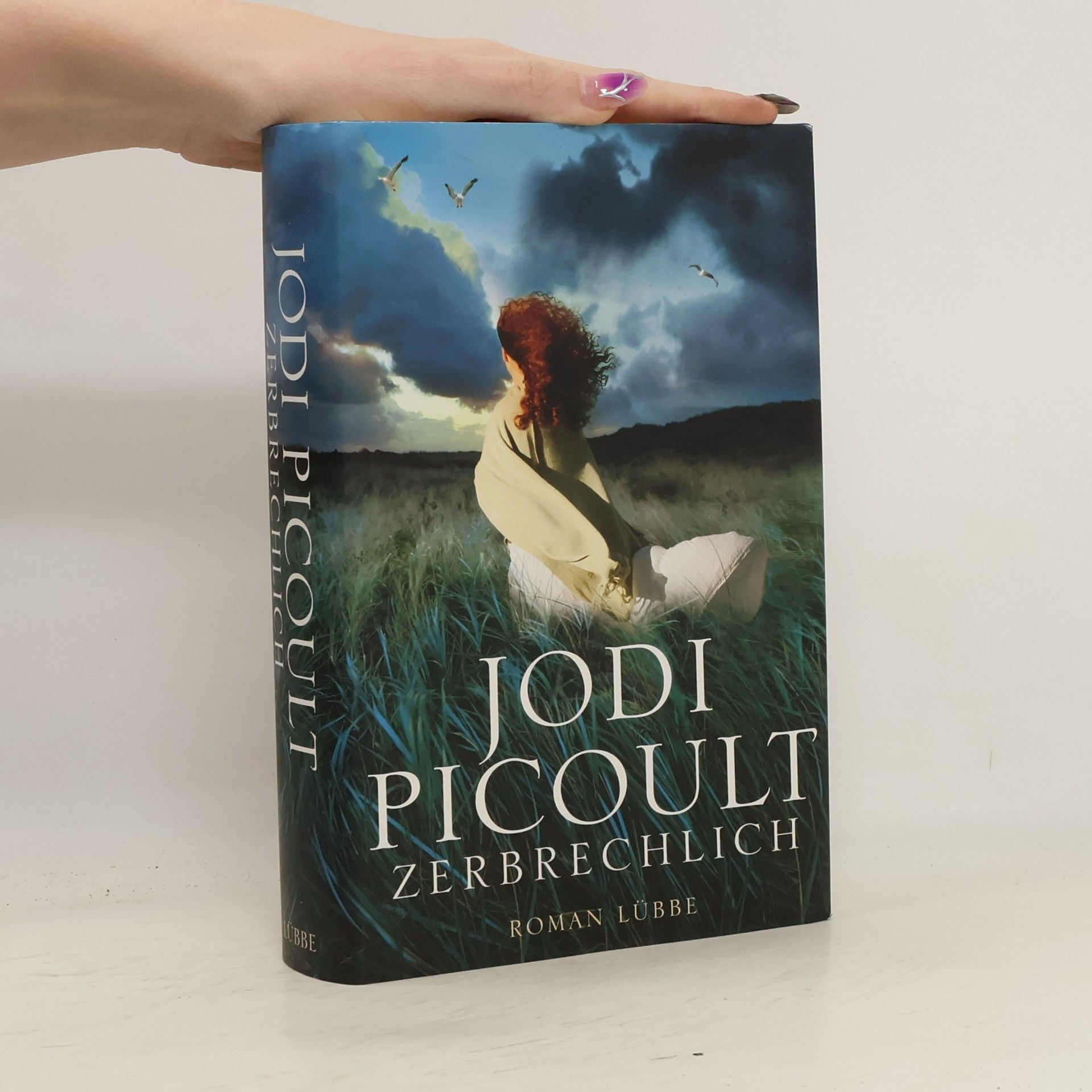 Jodi Picoult Zerbrechlich