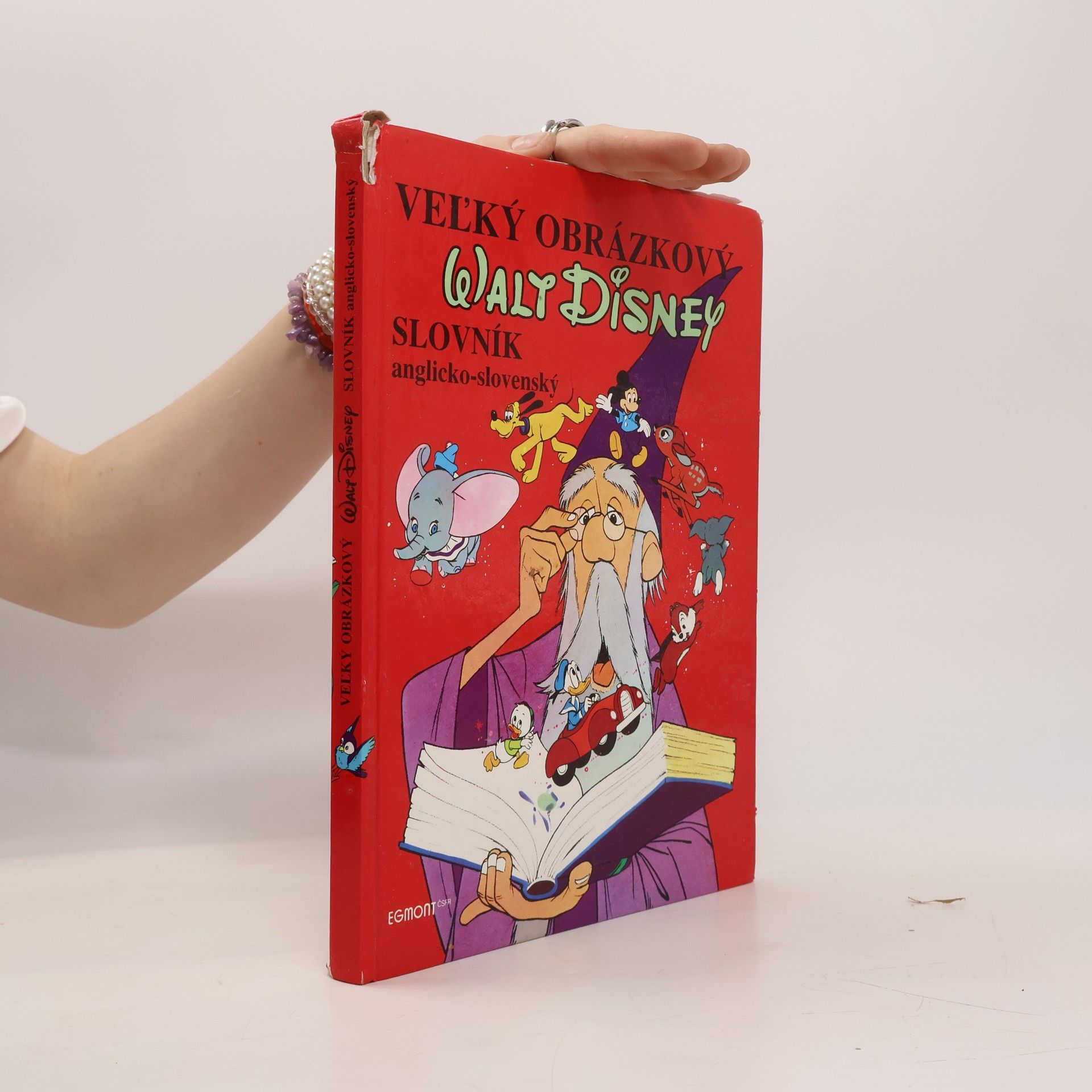 Walt Disney Vel’ký obrázkový slovník anglicko - slovenský
