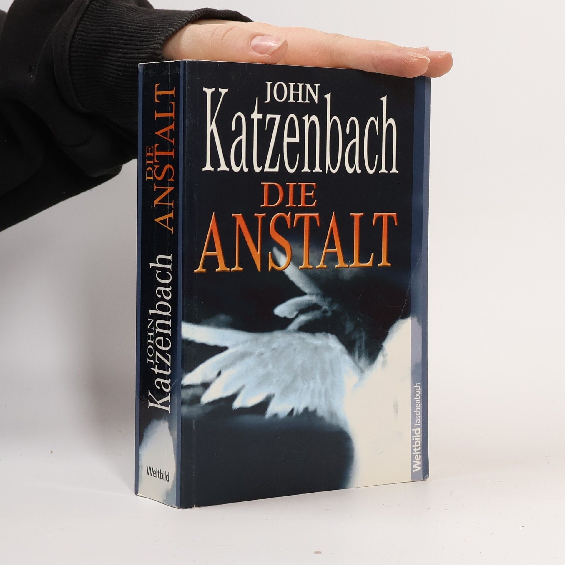 Die Anstalt