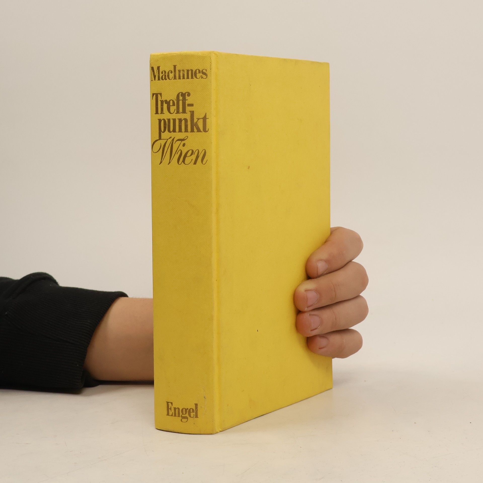 Helen MacInnes Treffpunkt Wien.