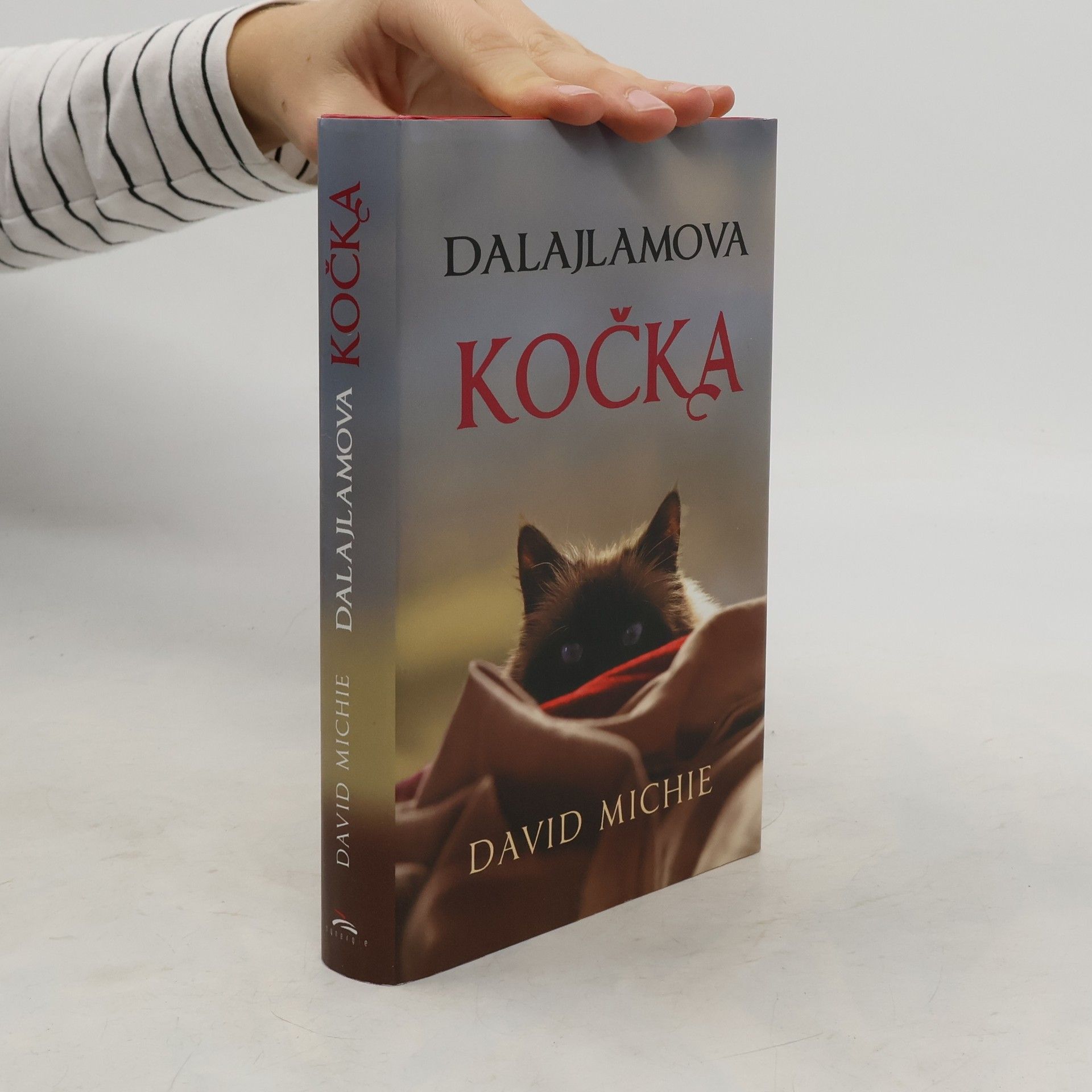 David Michie Dalajlamova kočka